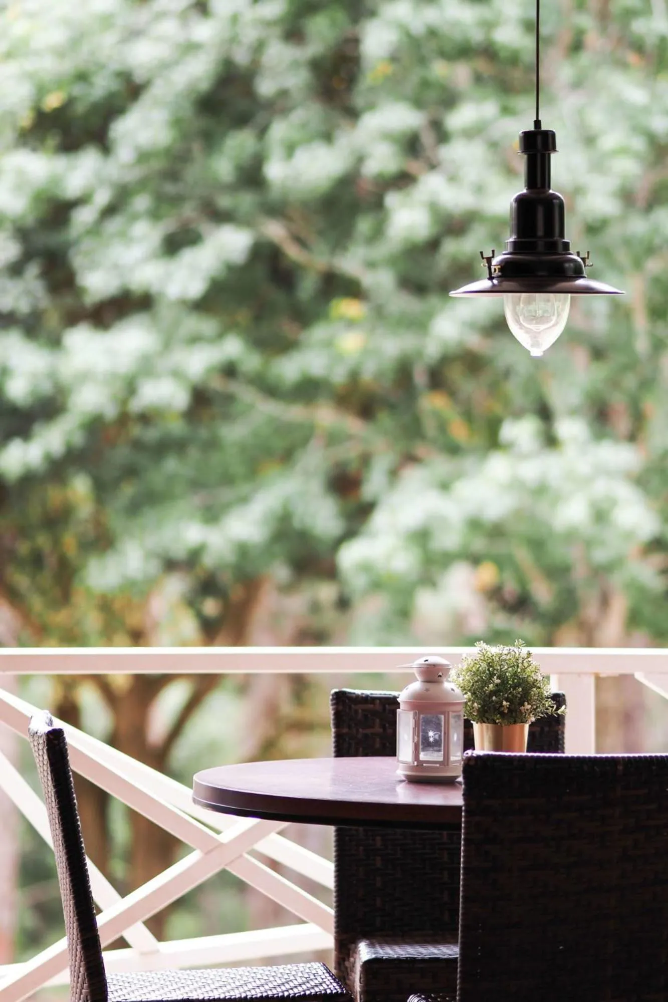 Day in Forest Lodge Resort