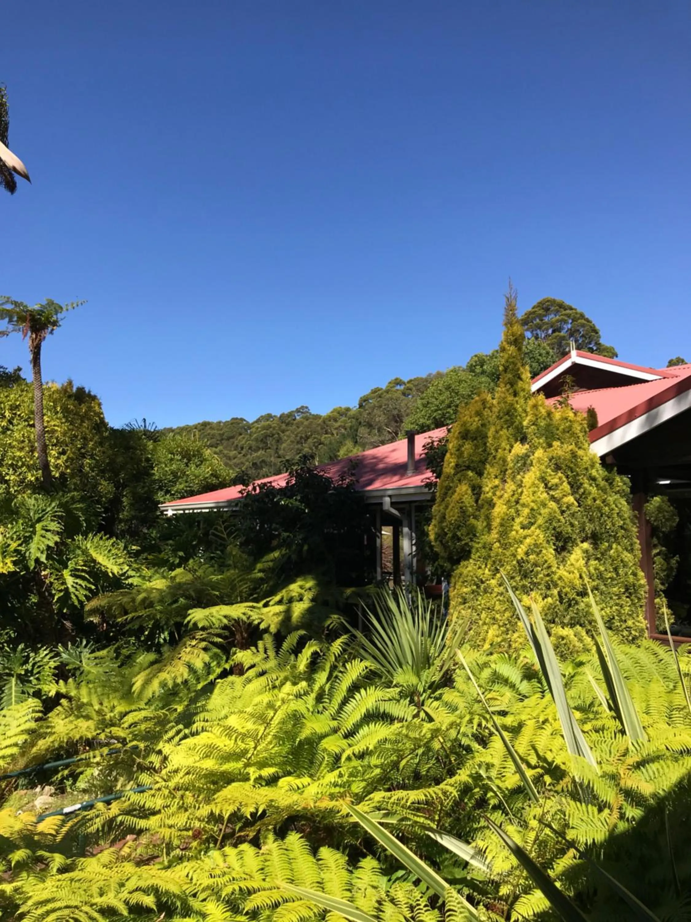 Day in Forest Lodge Resort