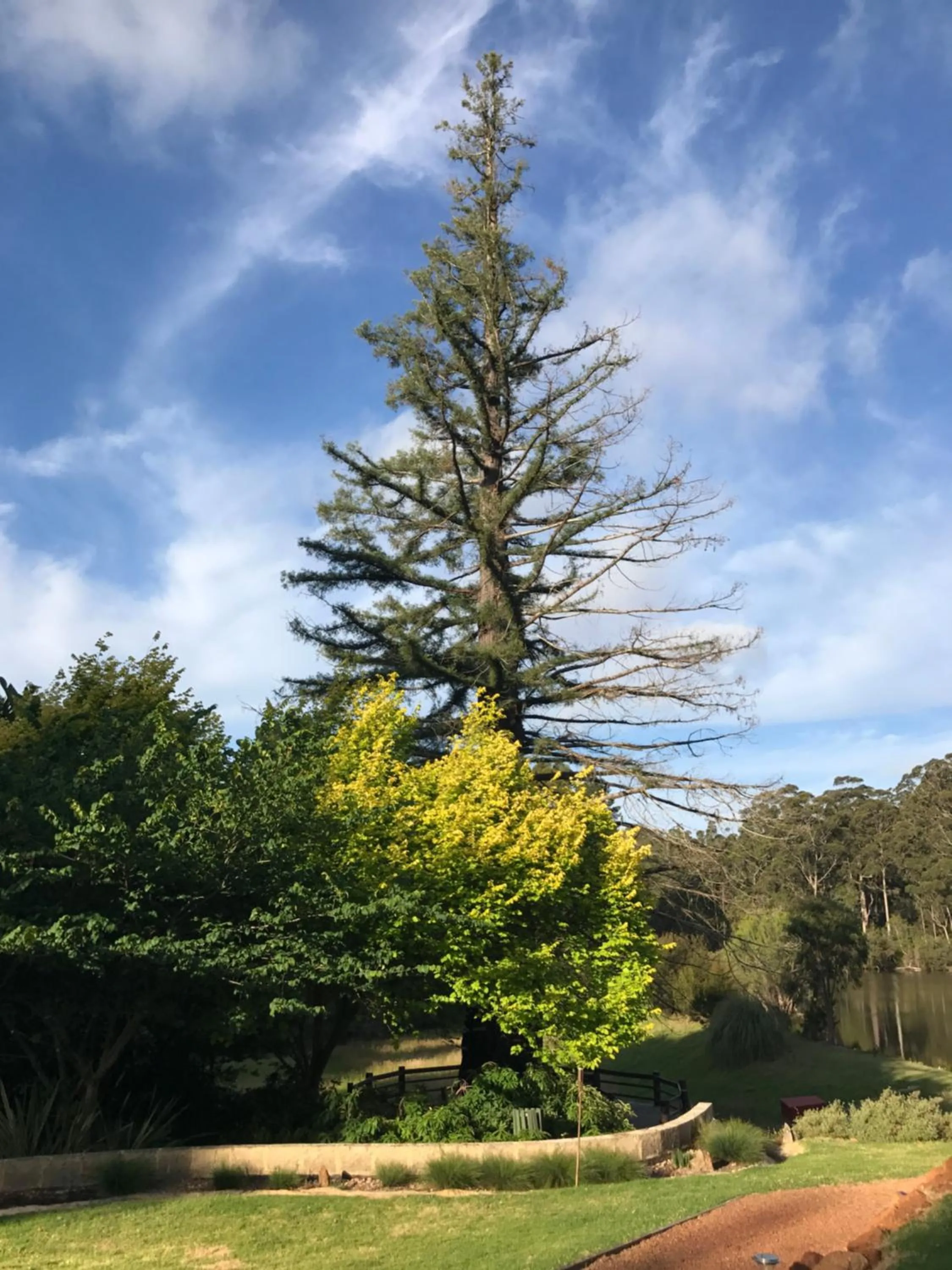 Natural landscape in Forest Lodge Resort