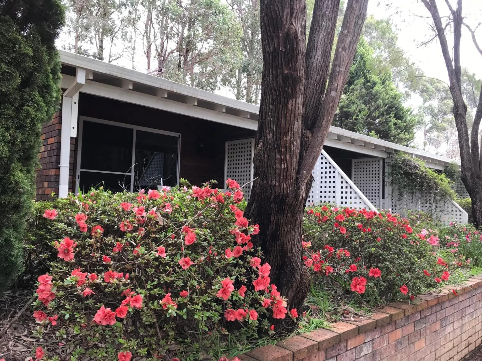 Day in Forest Lodge Resort