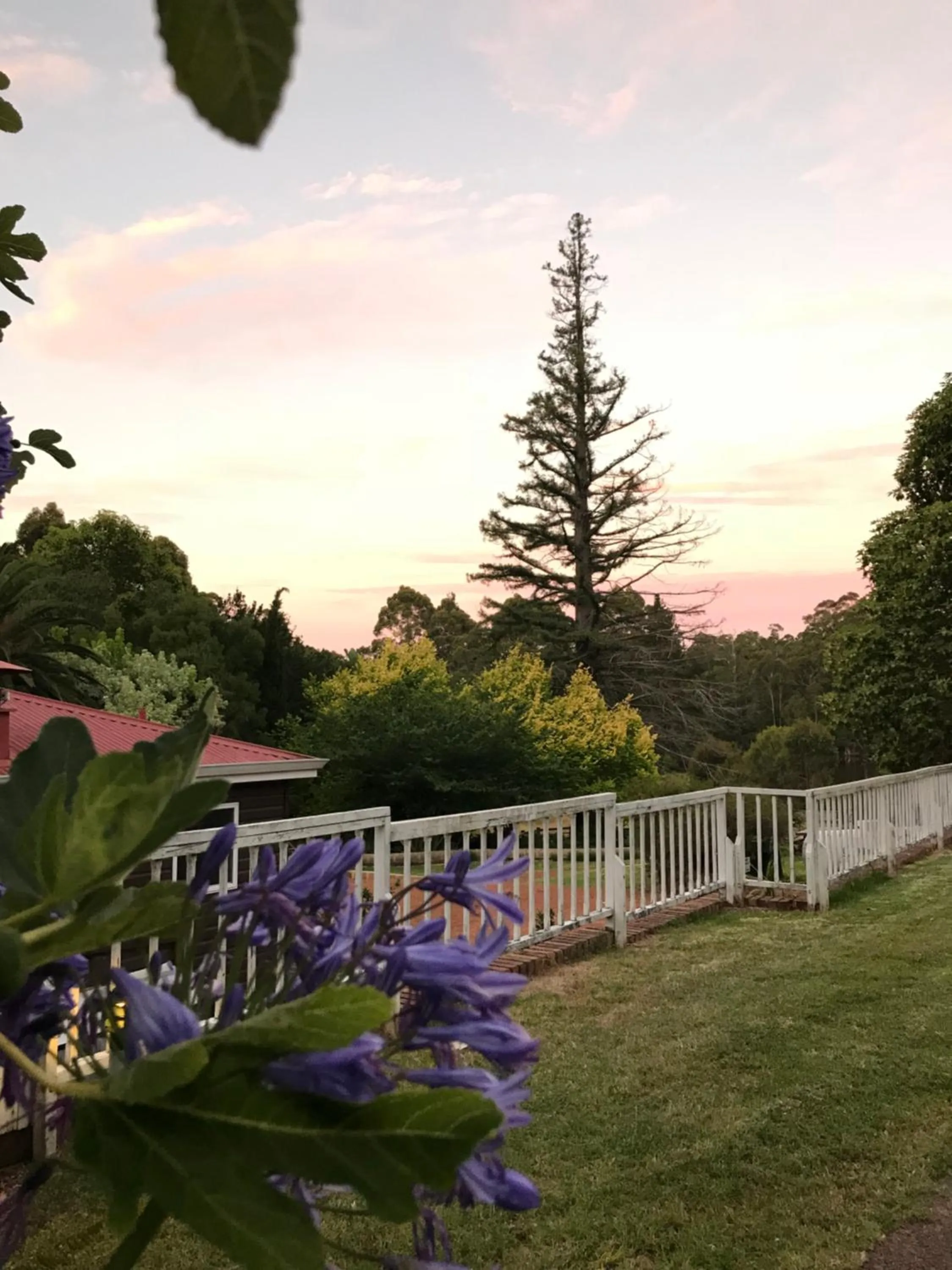 Natural landscape in Forest Lodge Resort