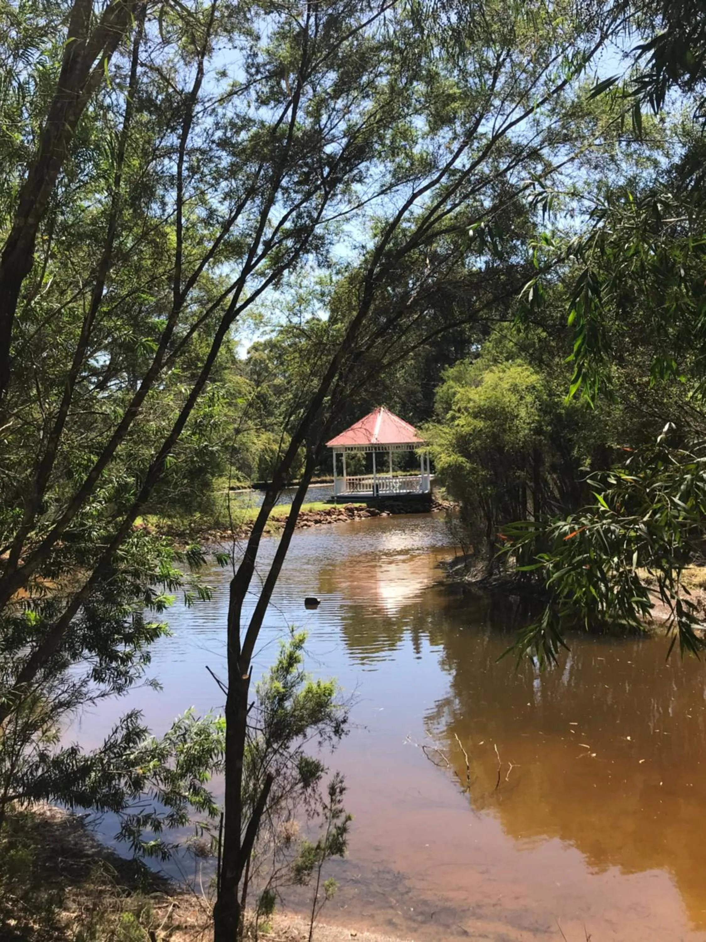 Day in Forest Lodge Resort