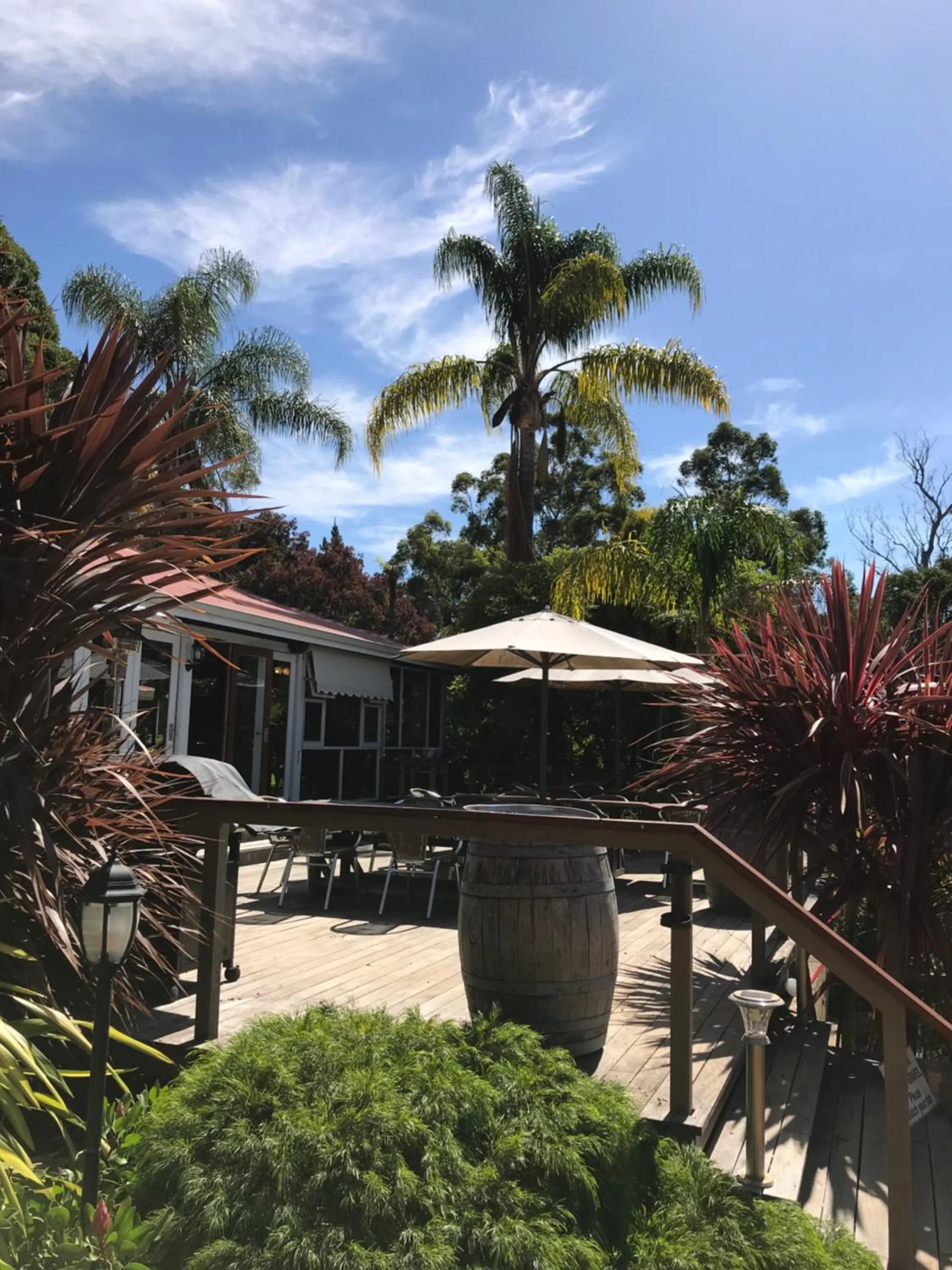 Patio in Forest Lodge Resort