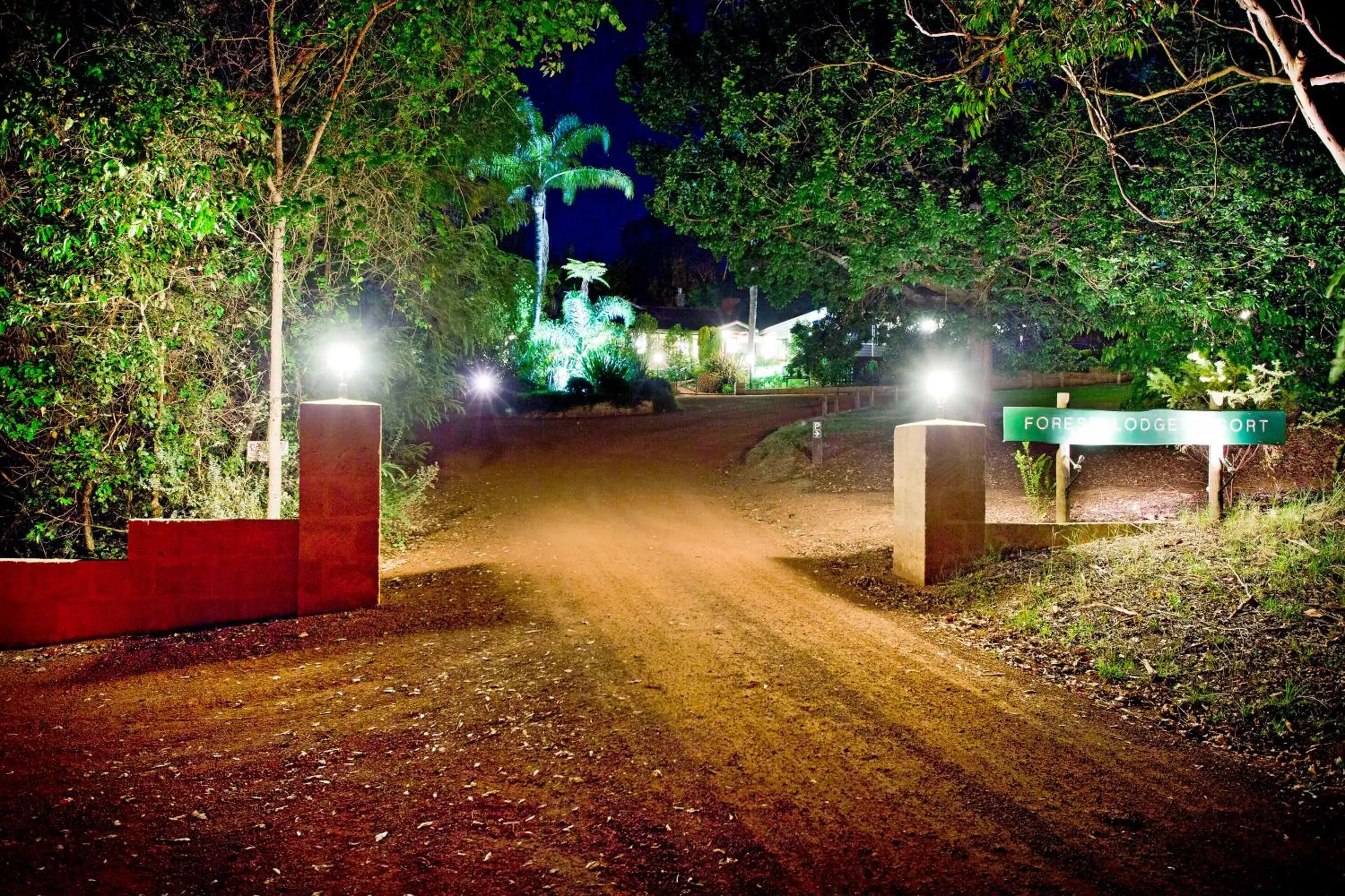 Street view in Forest Lodge Resort Street view in Forest Lodge Resort