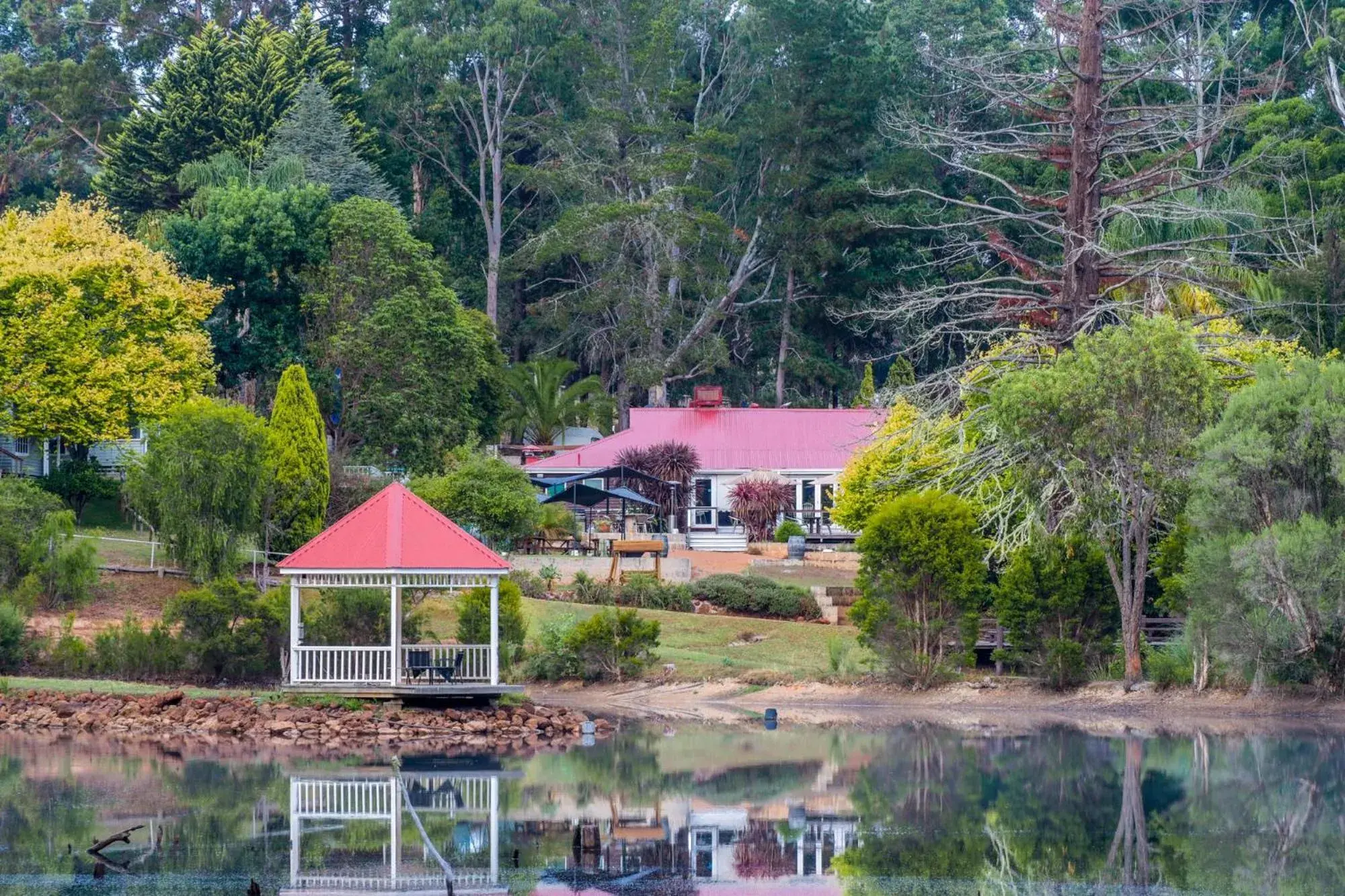 Property building in Forest Lodge Resort Property building in Forest Lodge Resort