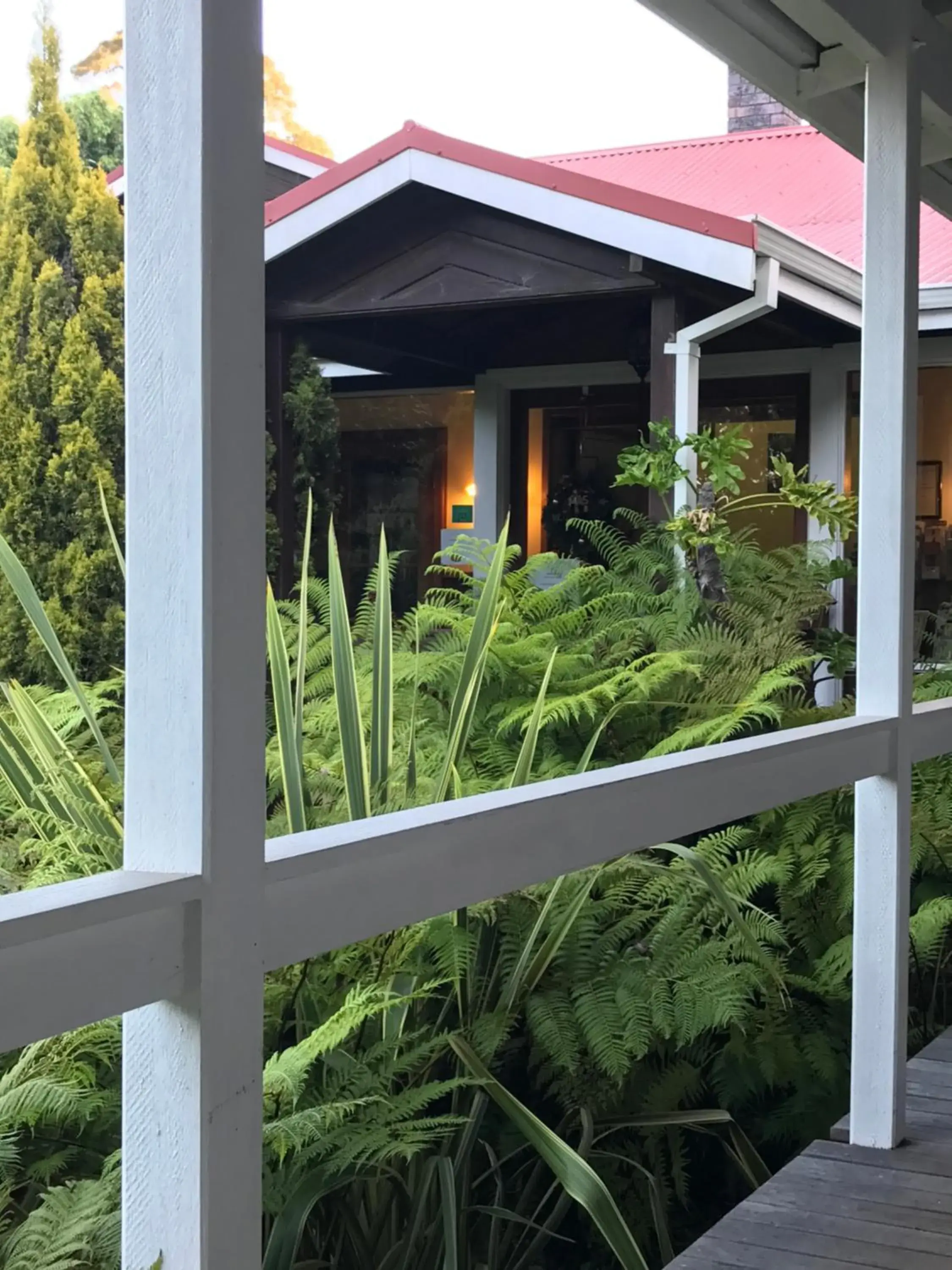 Property building in Forest Lodge Resort Property building in Forest Lodge Resort