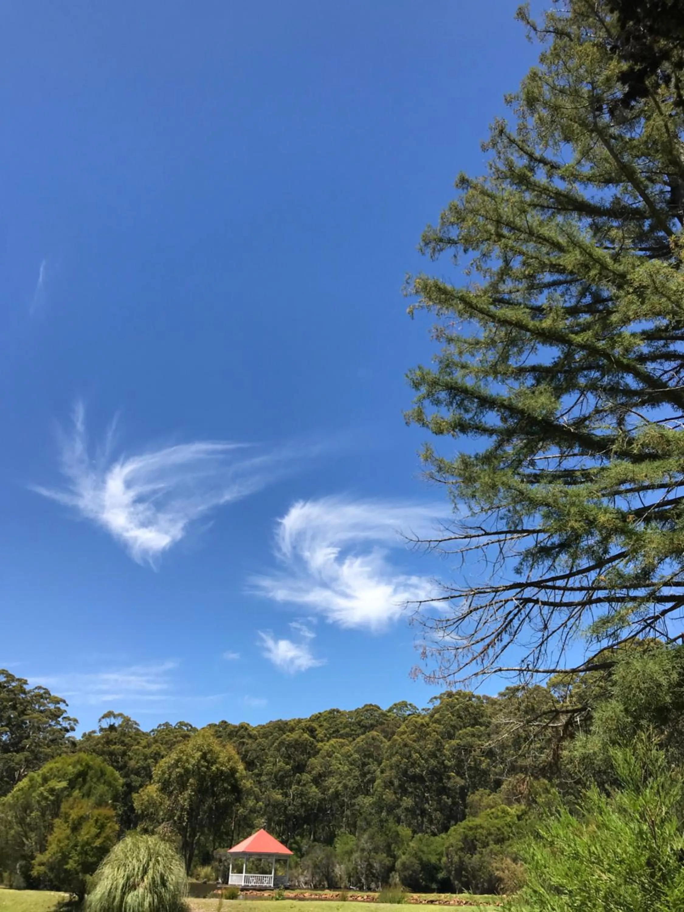 Natural landscape in Forest Lodge Resort