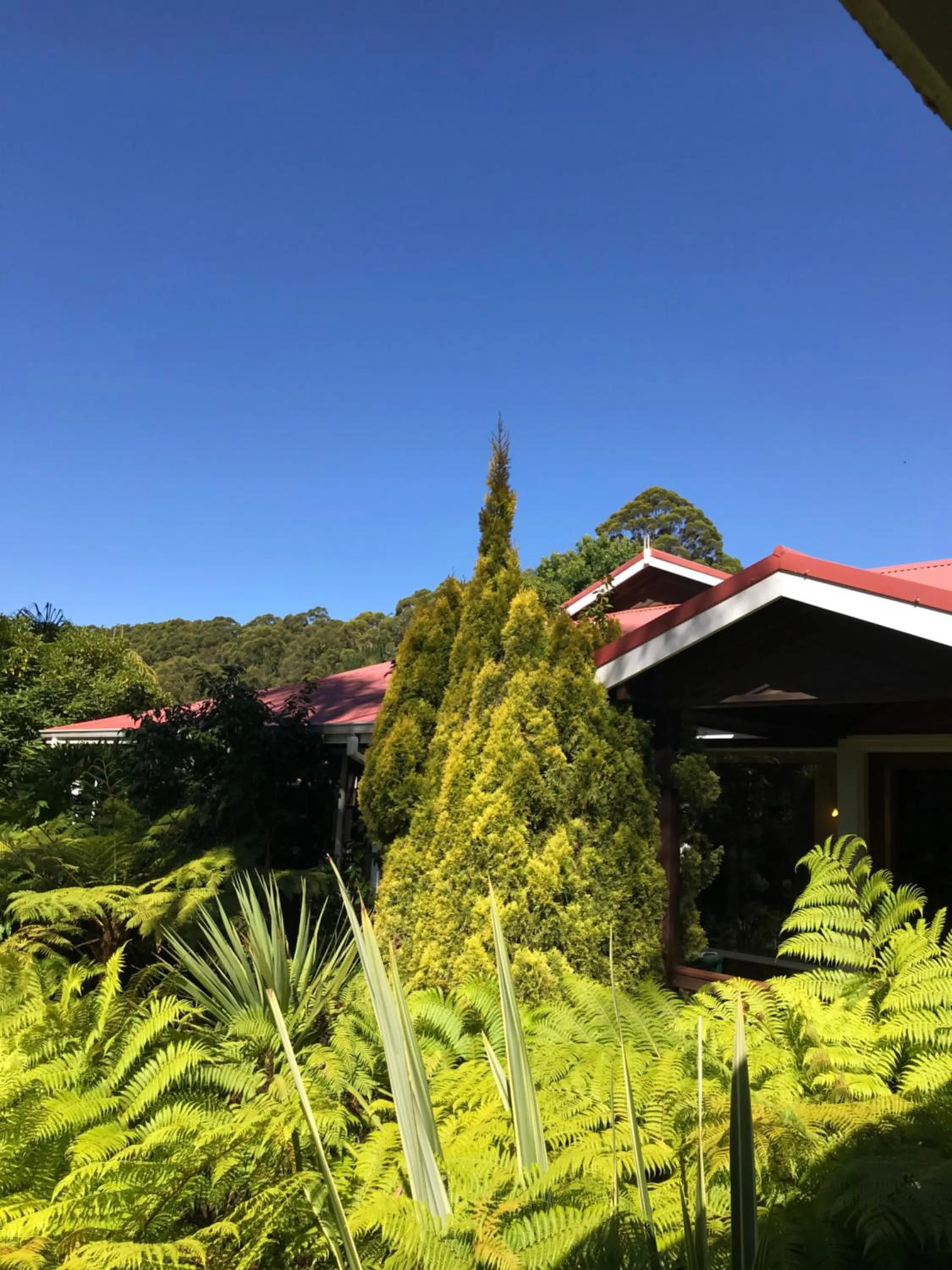 Property building in Forest Lodge Resort