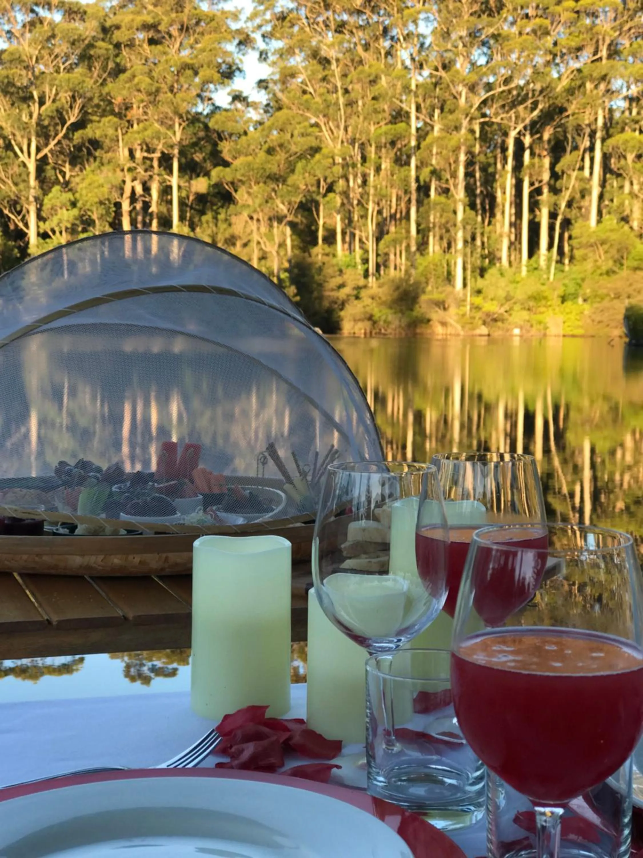 Patio in Forest Lodge Resort