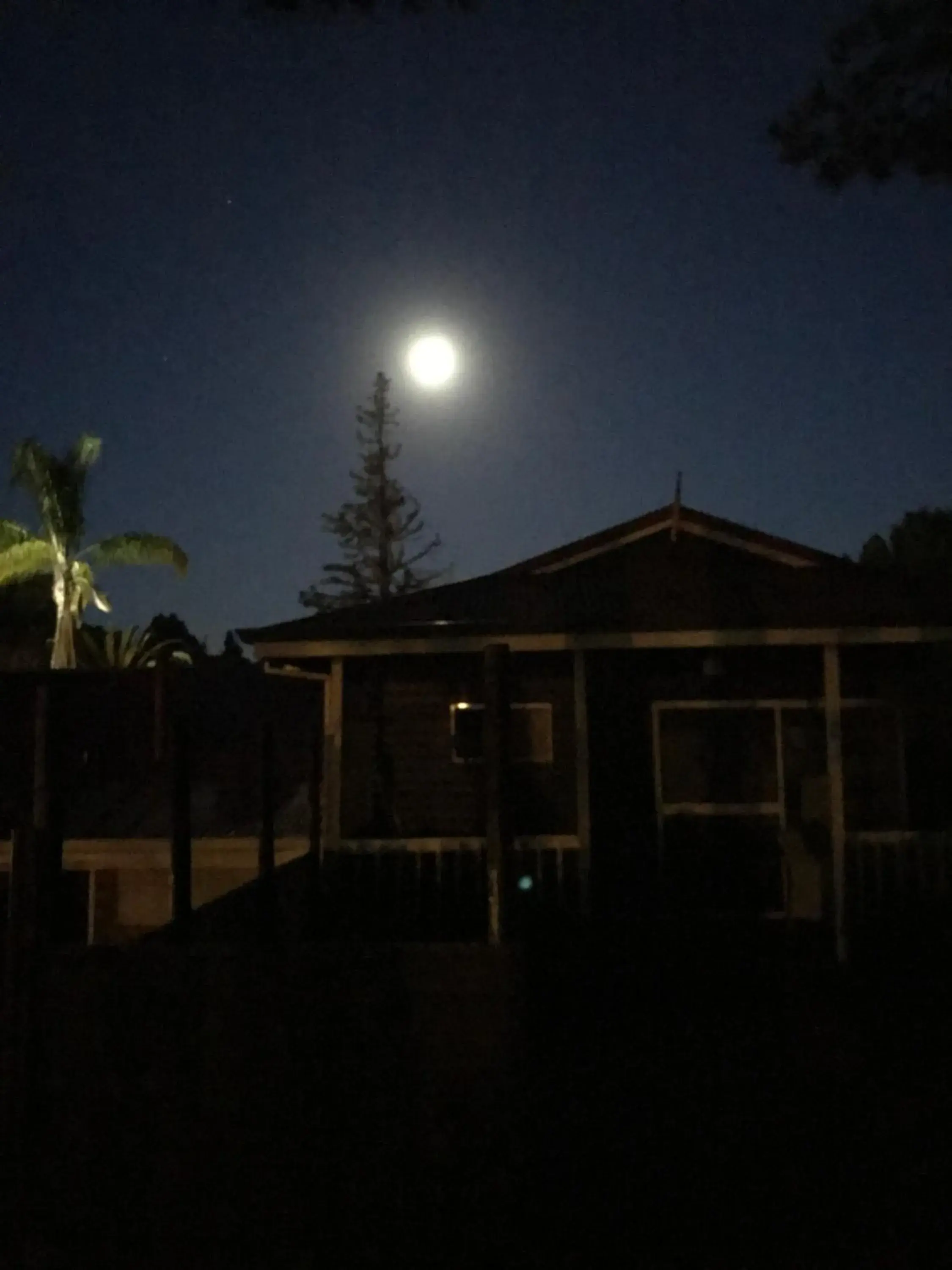 Property building in Forest Lodge Resort Property building in Forest Lodge Resort