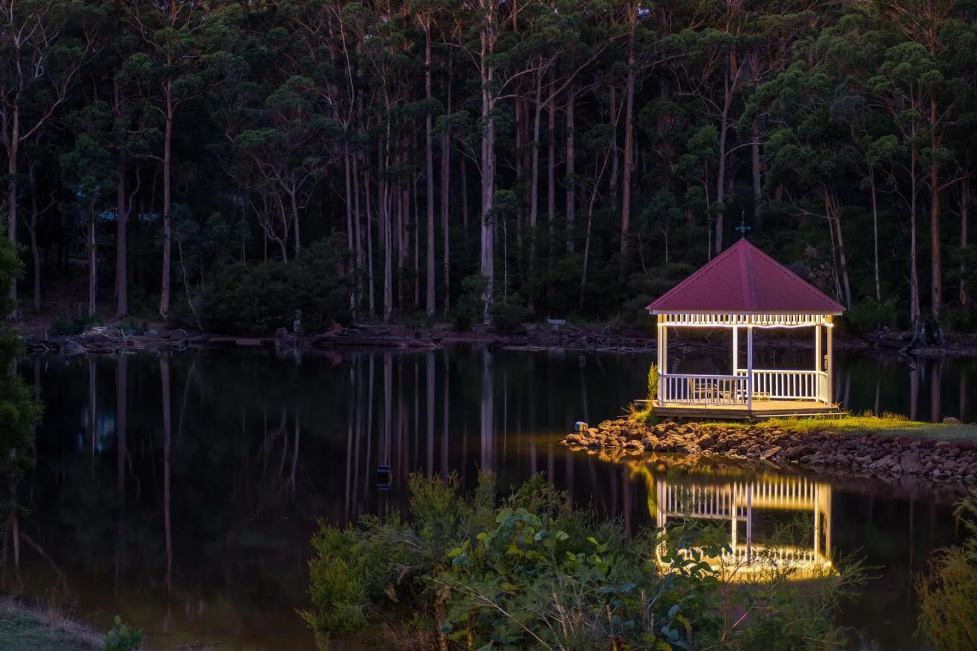Natural landscape in Forest Lodge Resort