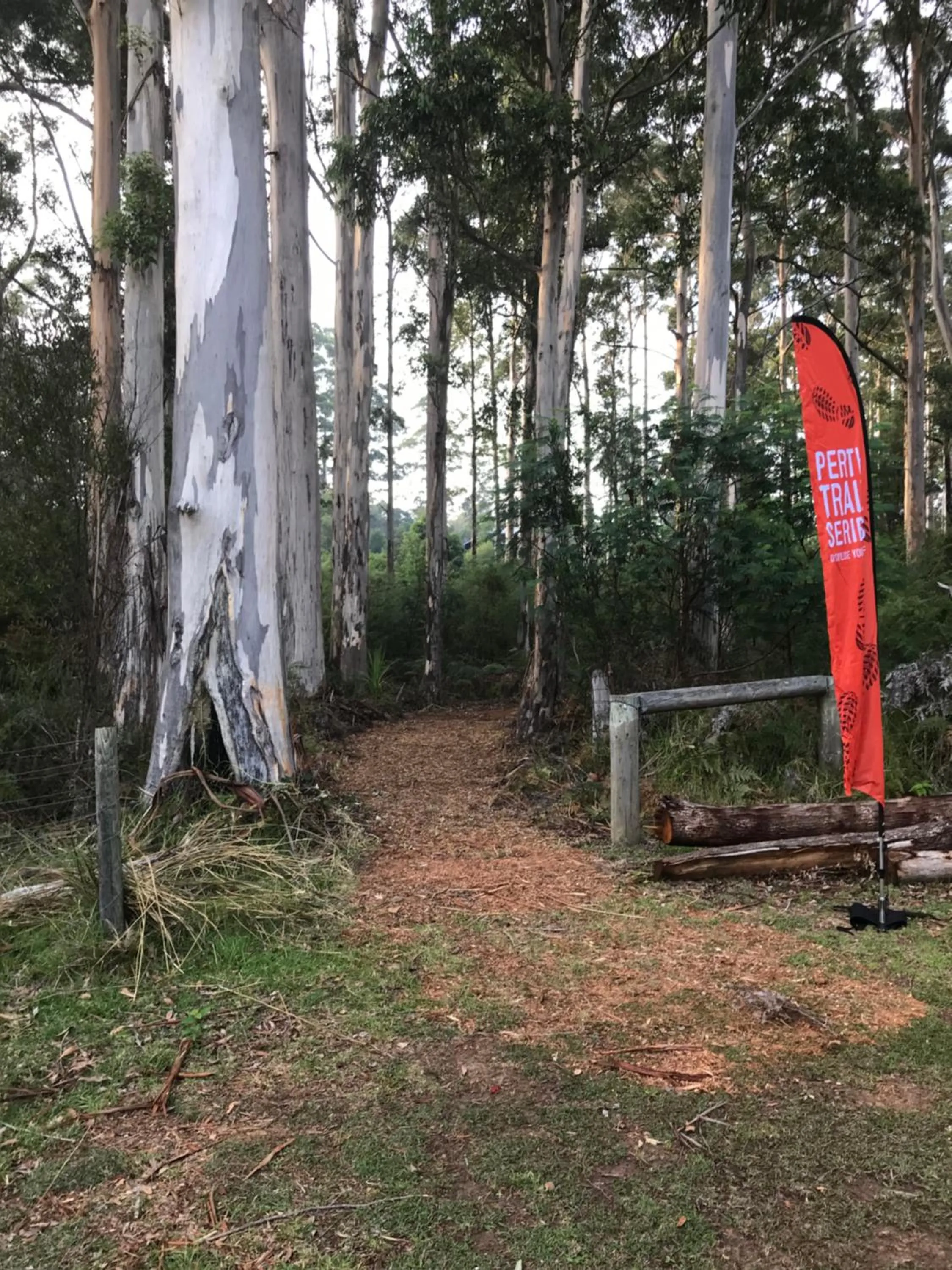 Day in Forest Lodge Resort