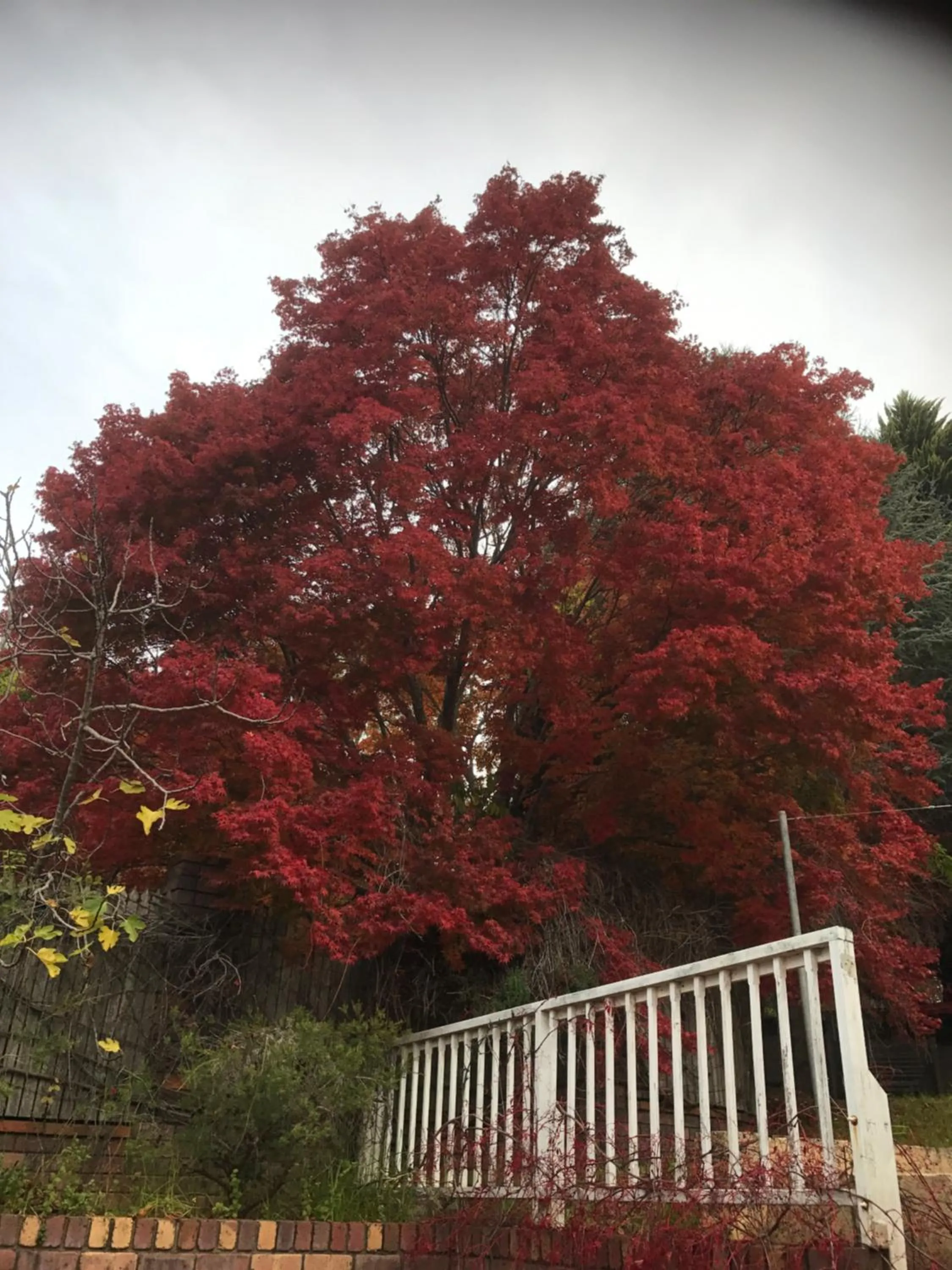 Day in Forest Lodge Resort