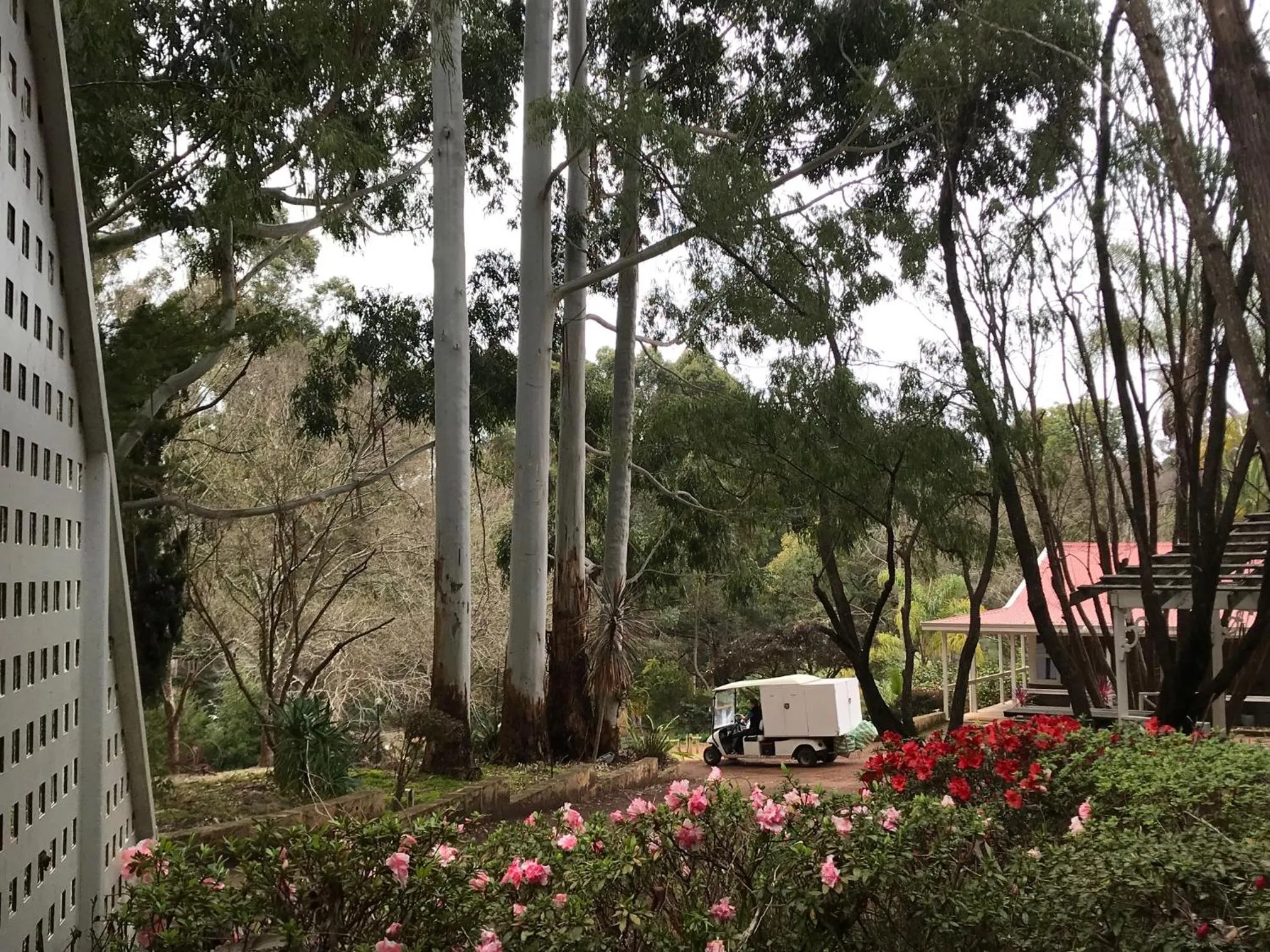 Garden view in Forest Lodge Resort
