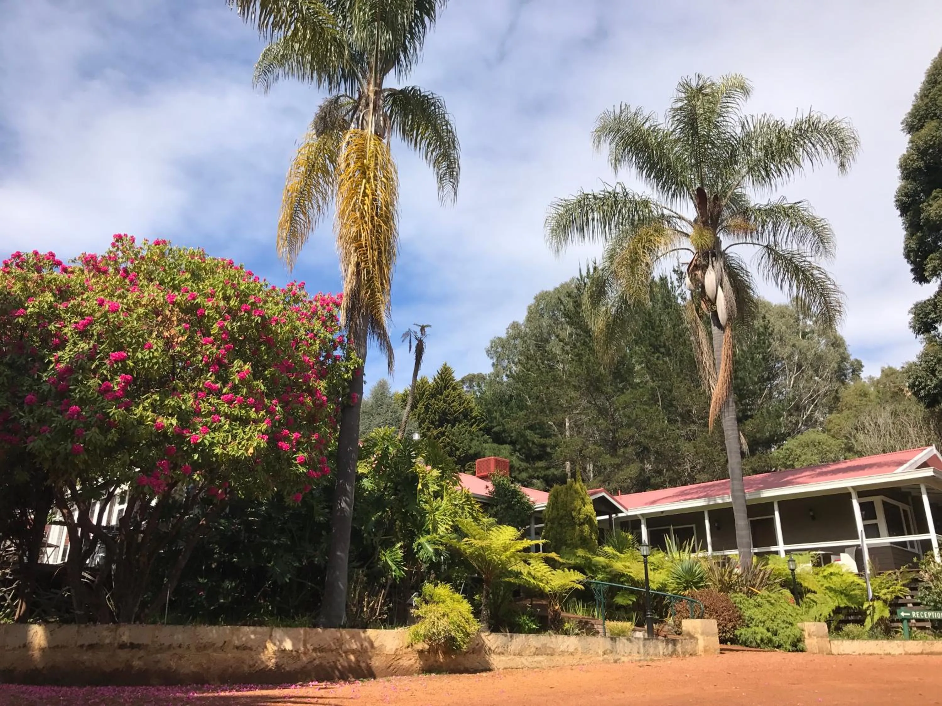Property building in Forest Lodge Resort