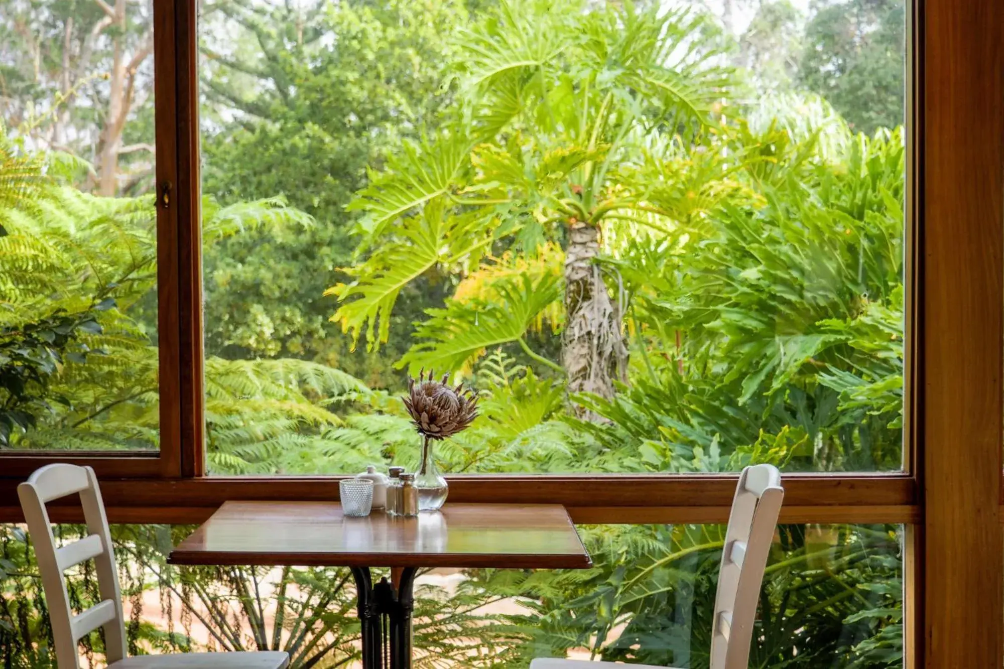 Restaurant/places to eat in Forest Lodge Resort Restaurant/places to eat in Forest Lodge Resort