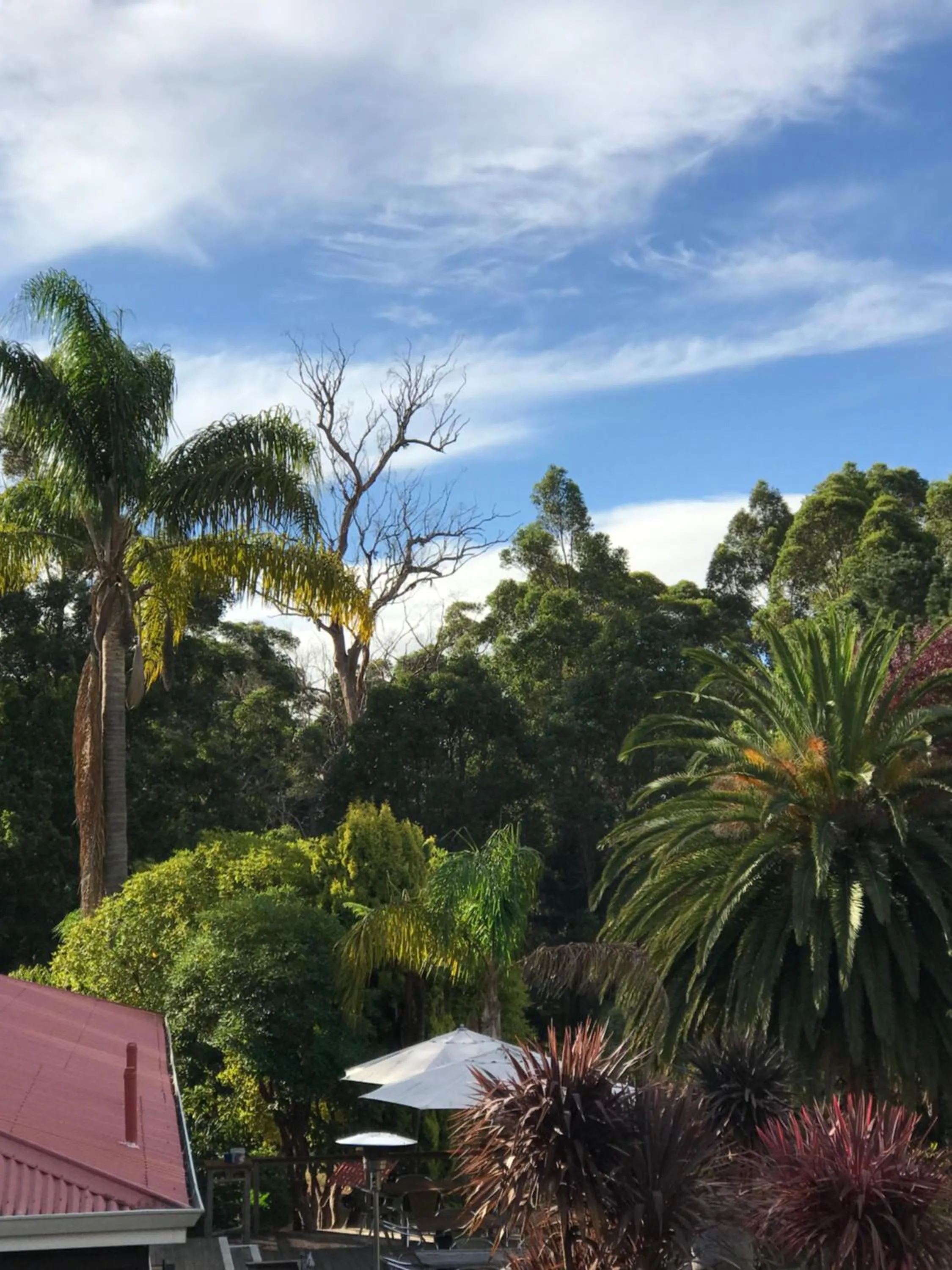 Patio in Forest Lodge Resort