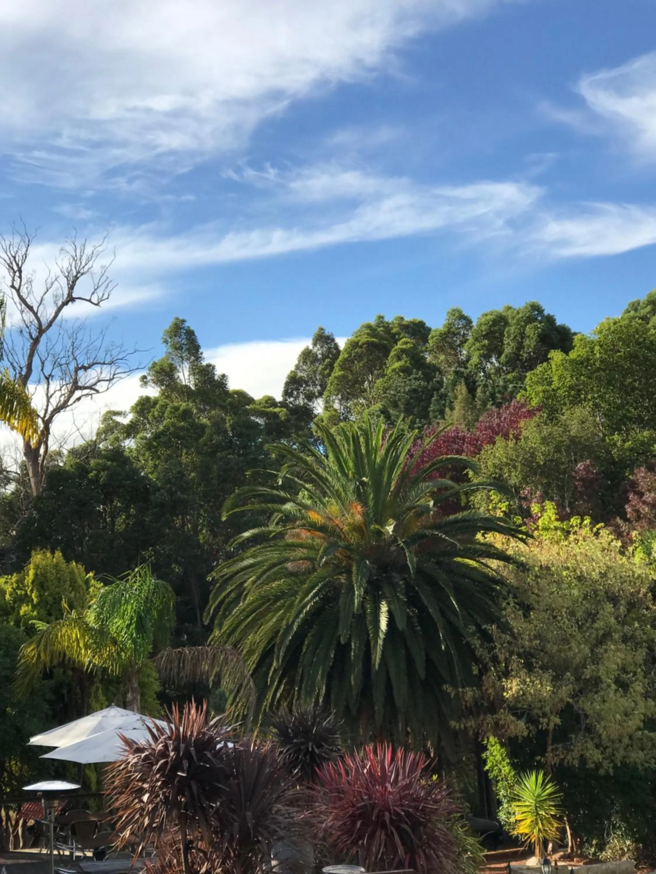 Garden in Forest Lodge Resort