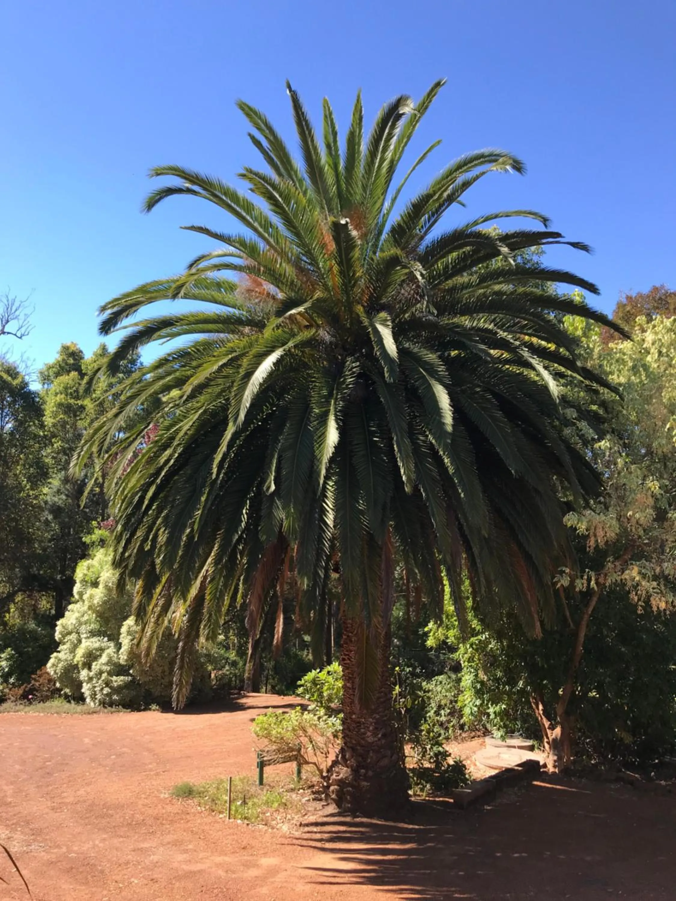 Day in Forest Lodge Resort