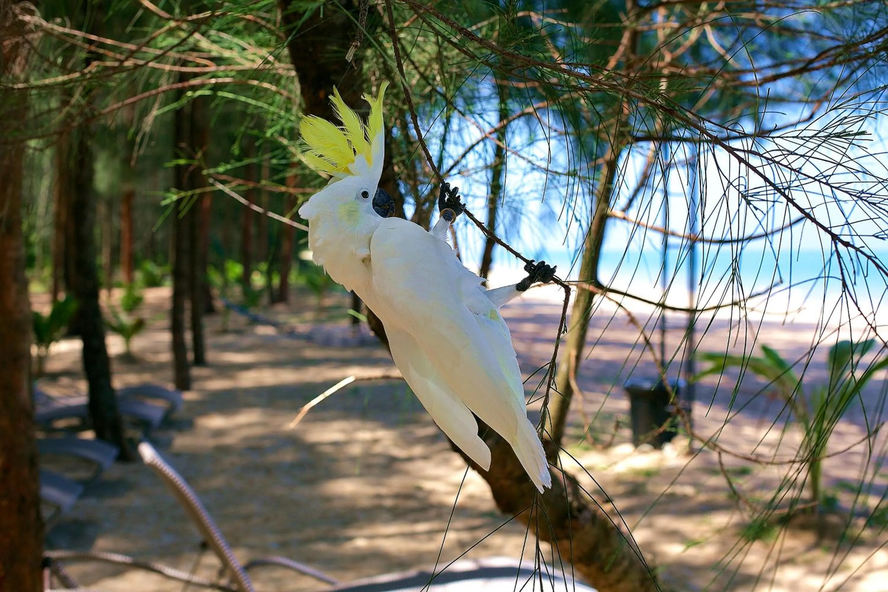Beach in Ataman Luxury Villas