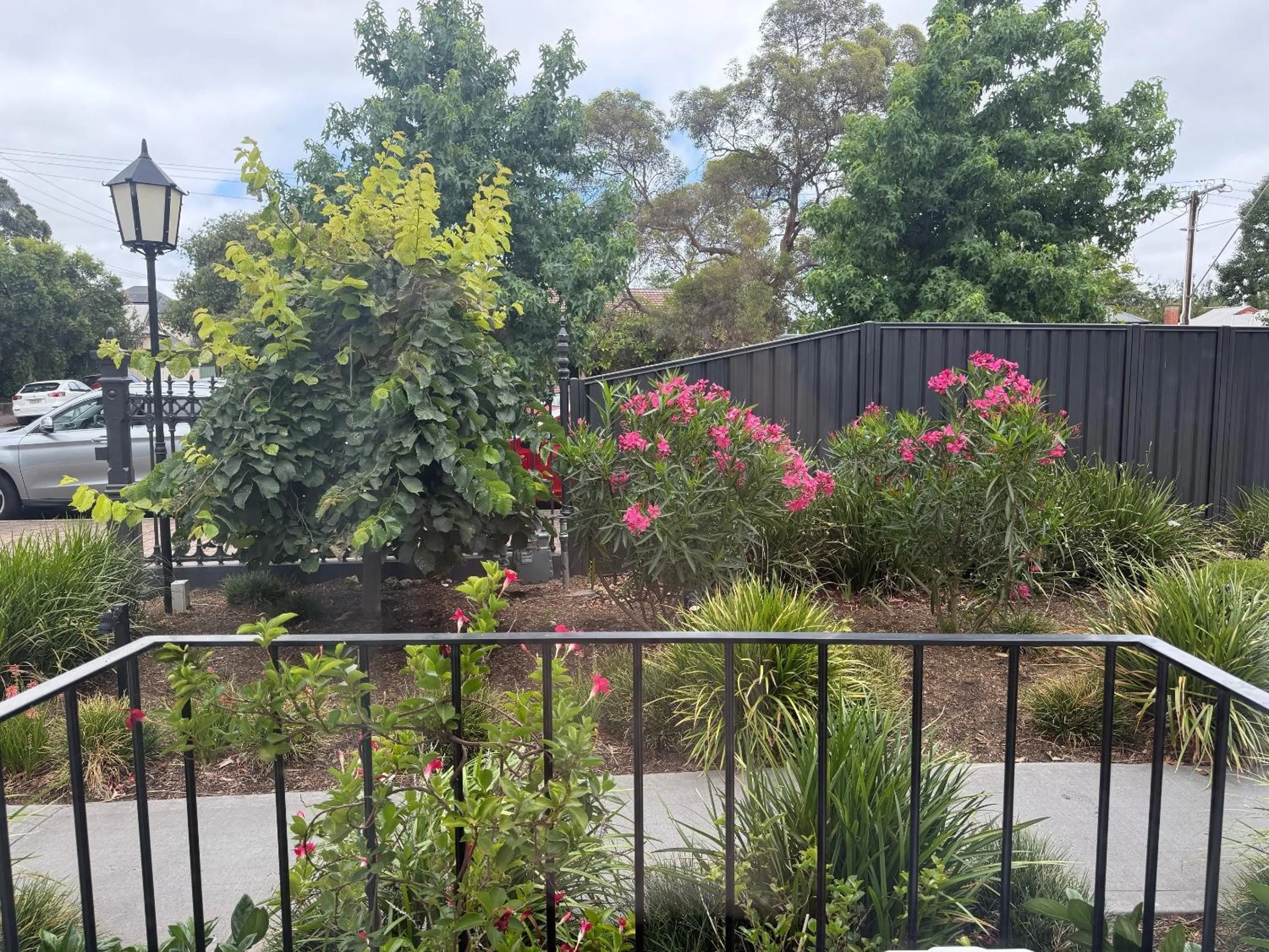 Garden view in The Osmond Motel & Apartments