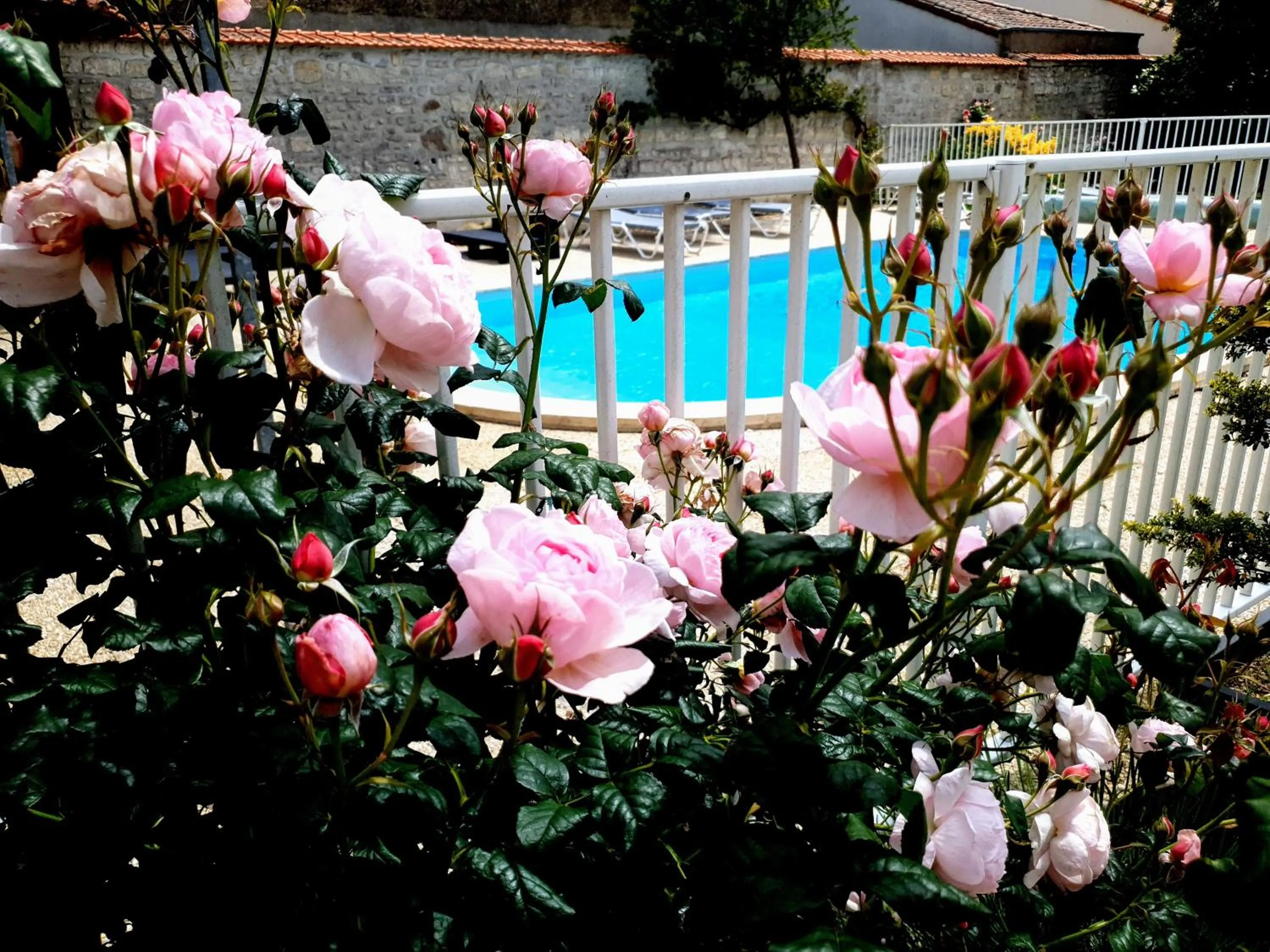 Pool view in La Villa des Roses Gîte Chambres d'hôtes Piscine chauffée