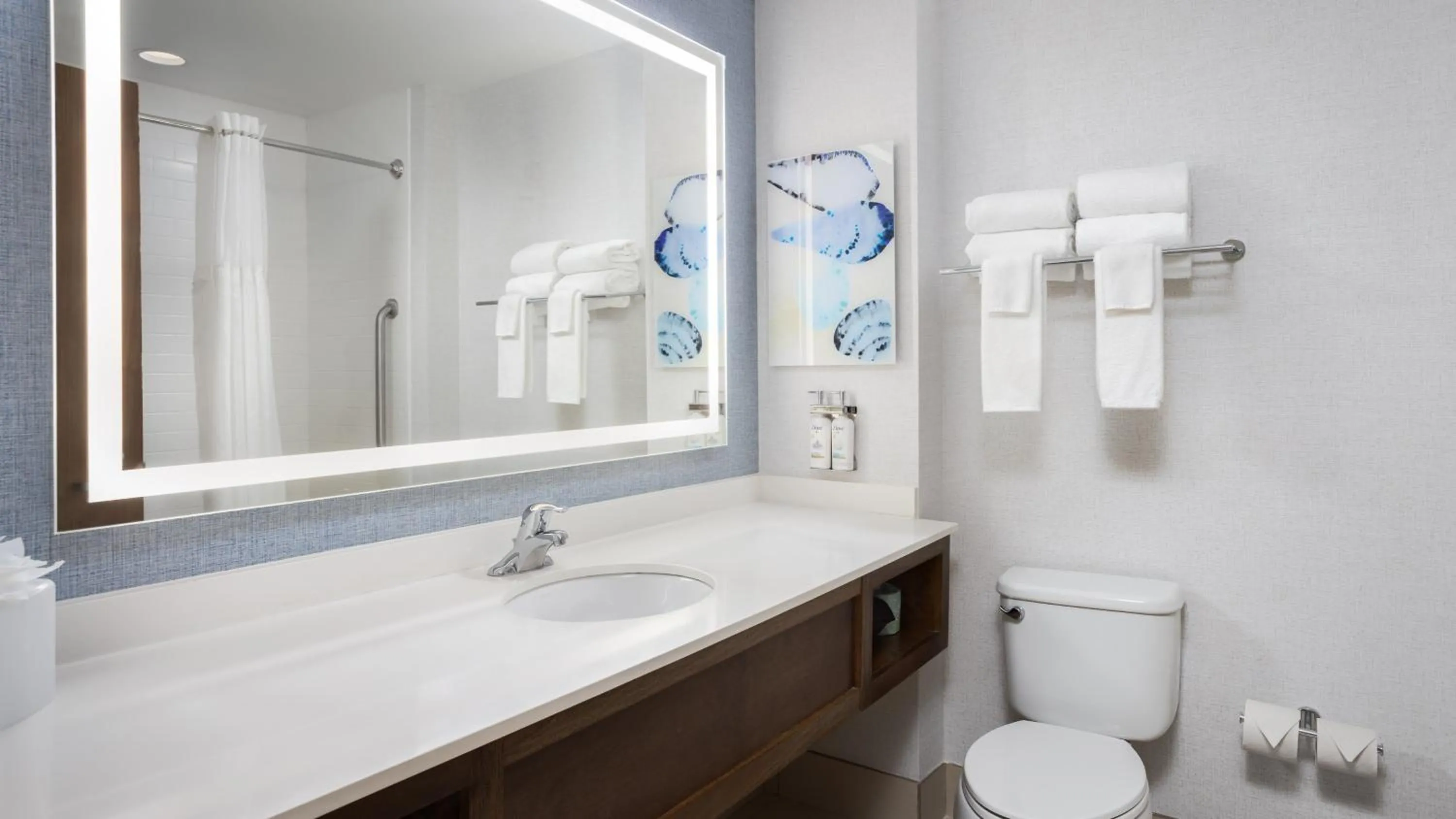 Bathroom in Holiday Inn Resort Fort Walton Beach by IHG