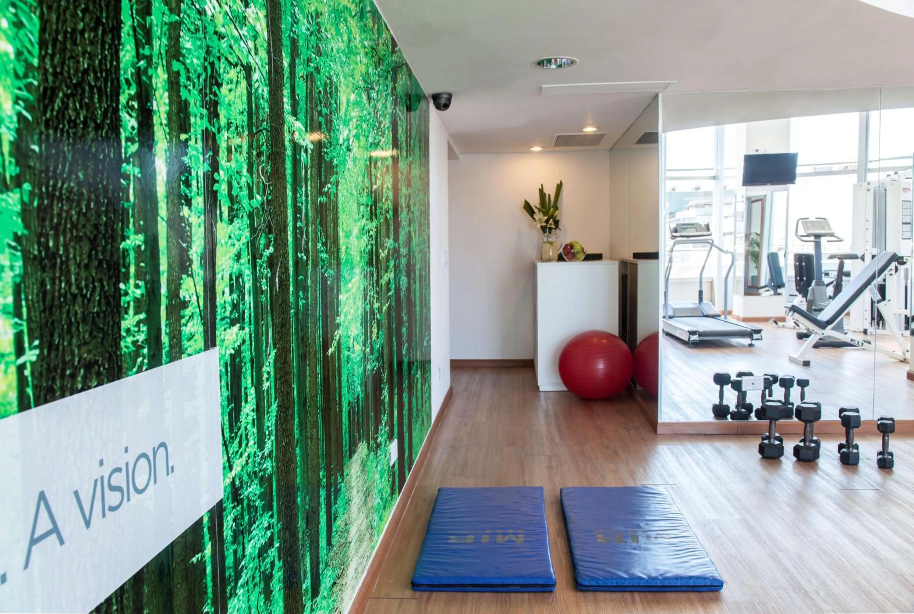 Fitness centre/facilities in NH Buenos Aires Latino