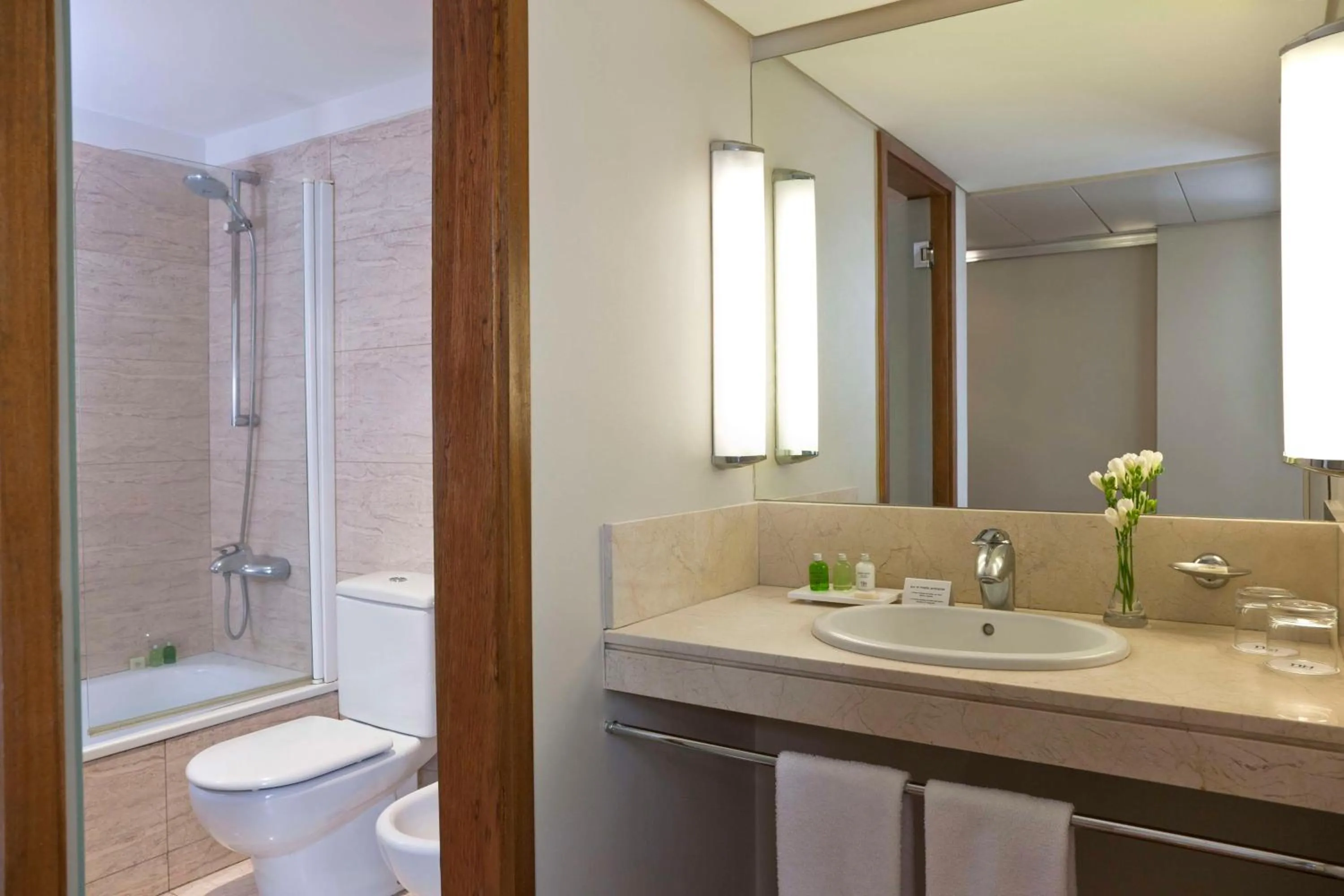 Bathroom in NH Buenos Aires Florida