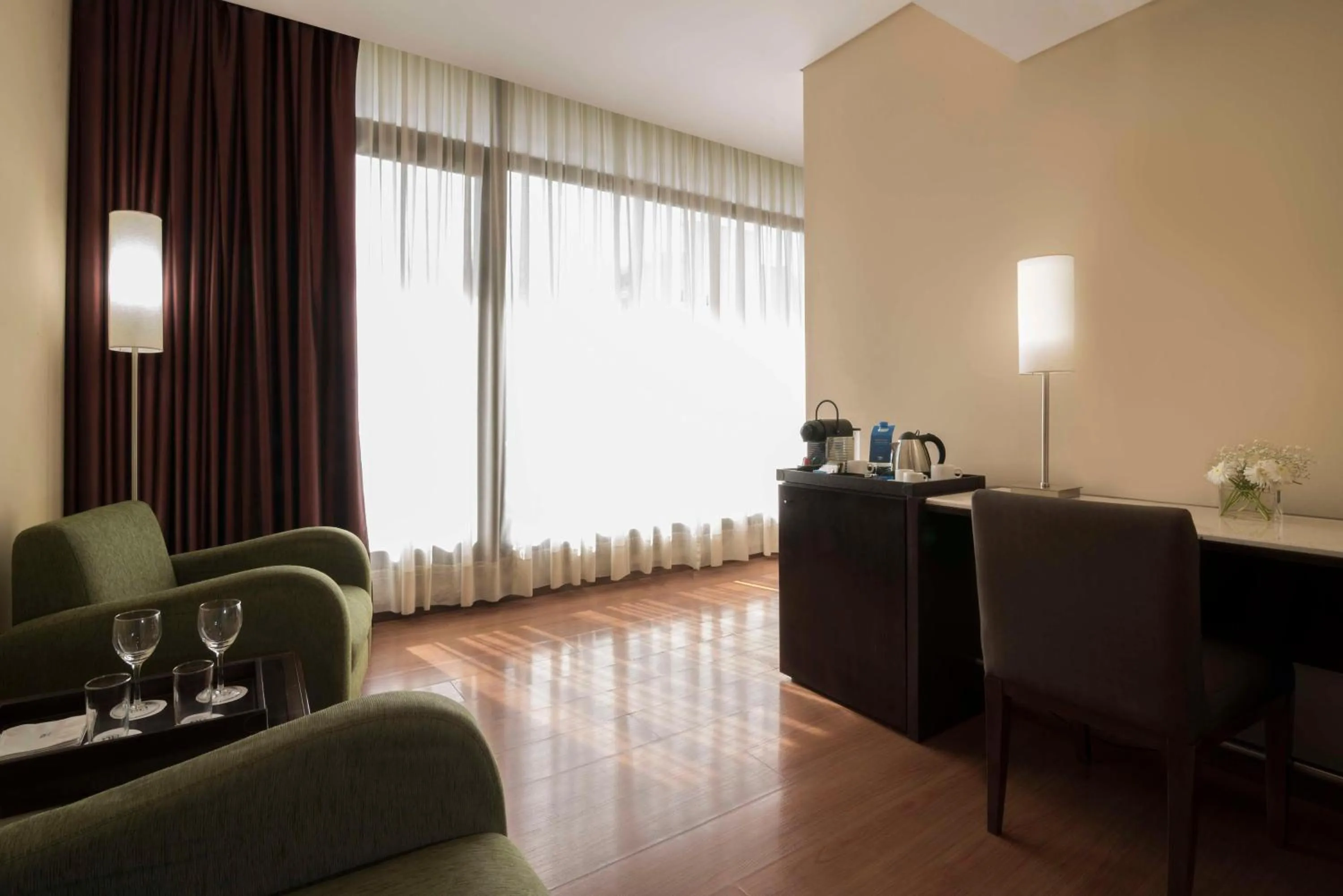 View (from property/room) in NH Mendoza Cordillera