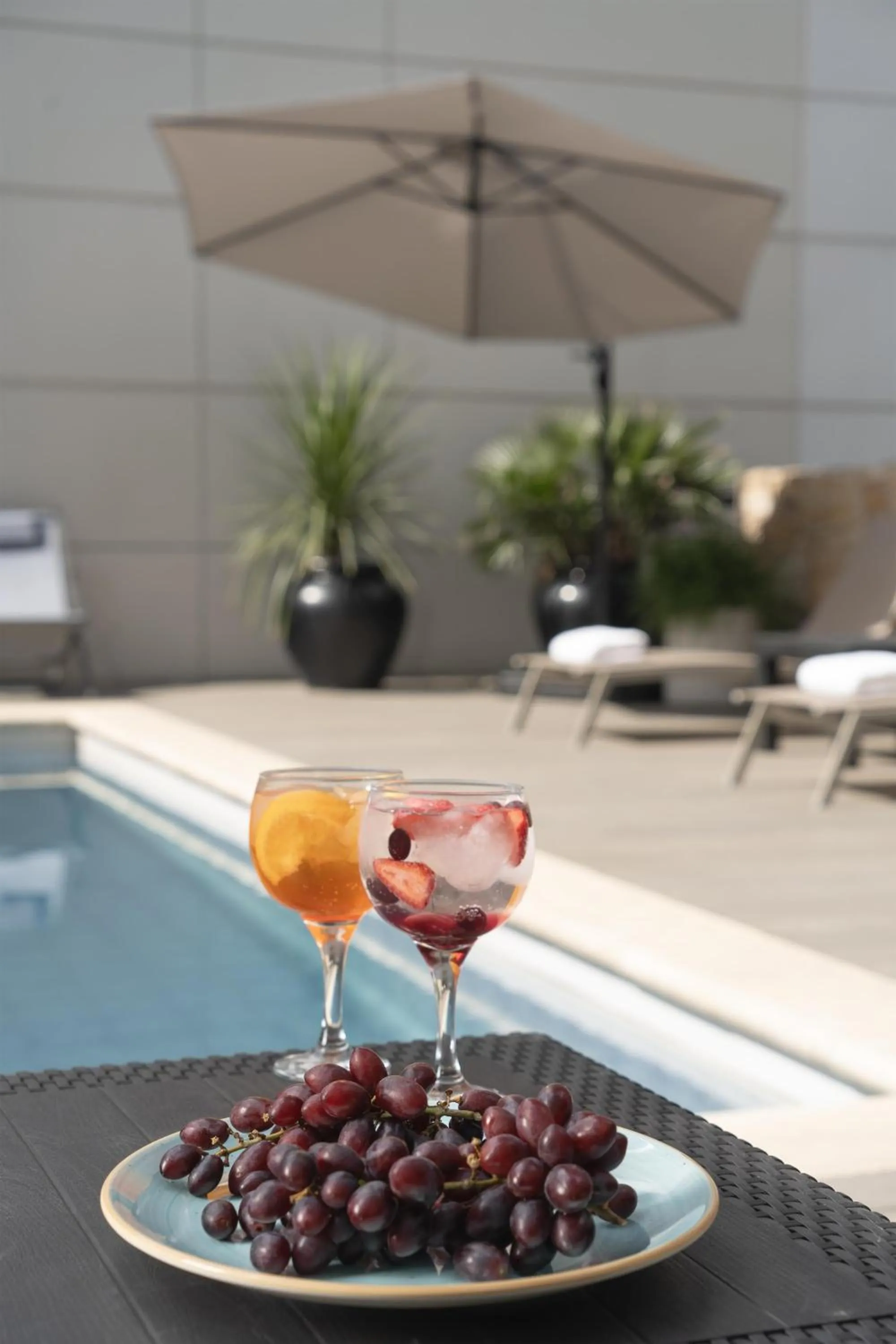 Pool view in NH Mendoza Cordillera