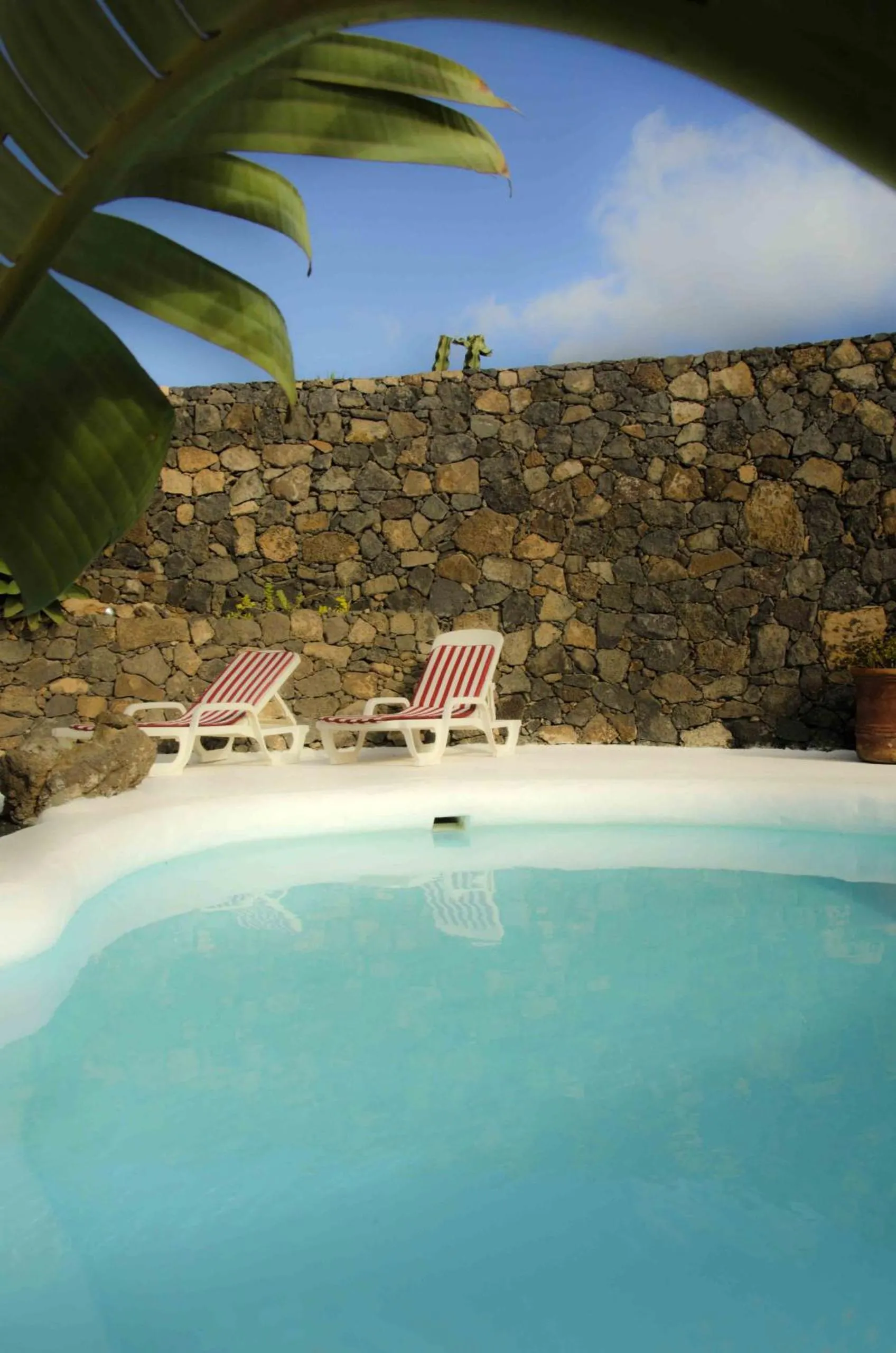 Casa Los Olivos