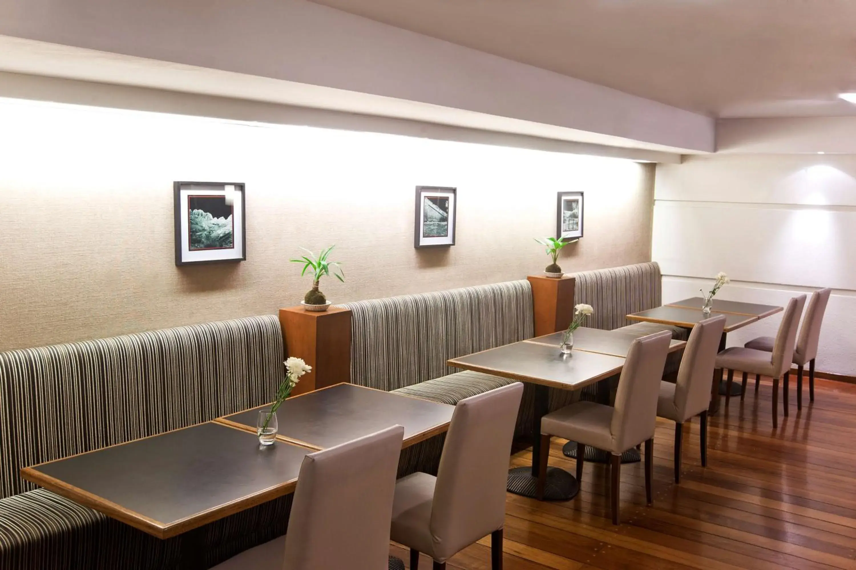 Restaurant/places to eat in NH Córdoba Panorama Restaurant/places to eat in NH Córdoba Panorama