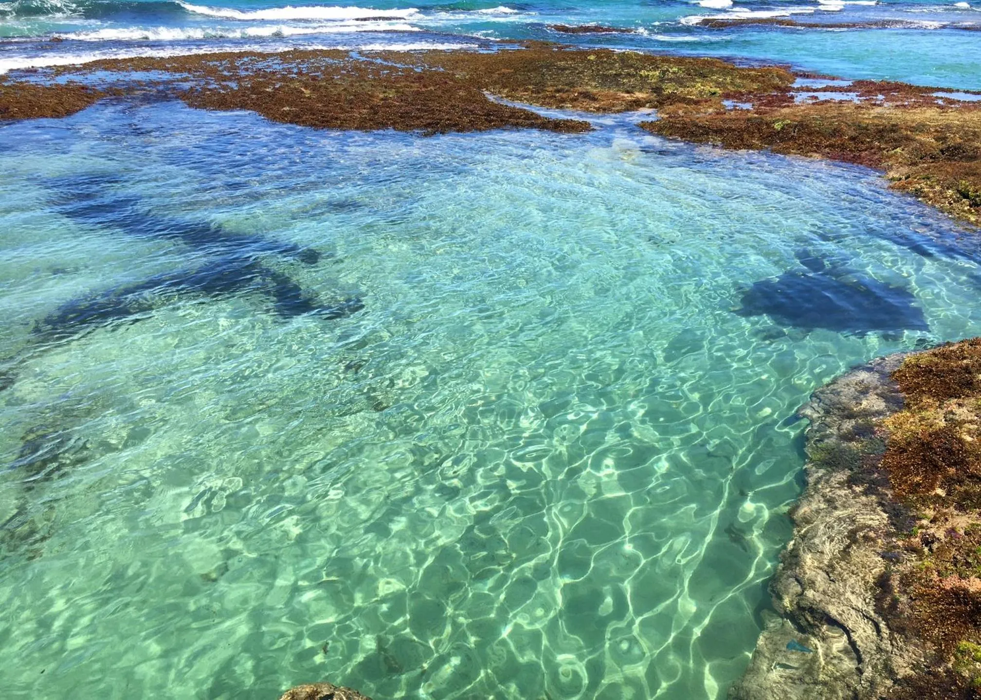 Natural landscape in La Prometida