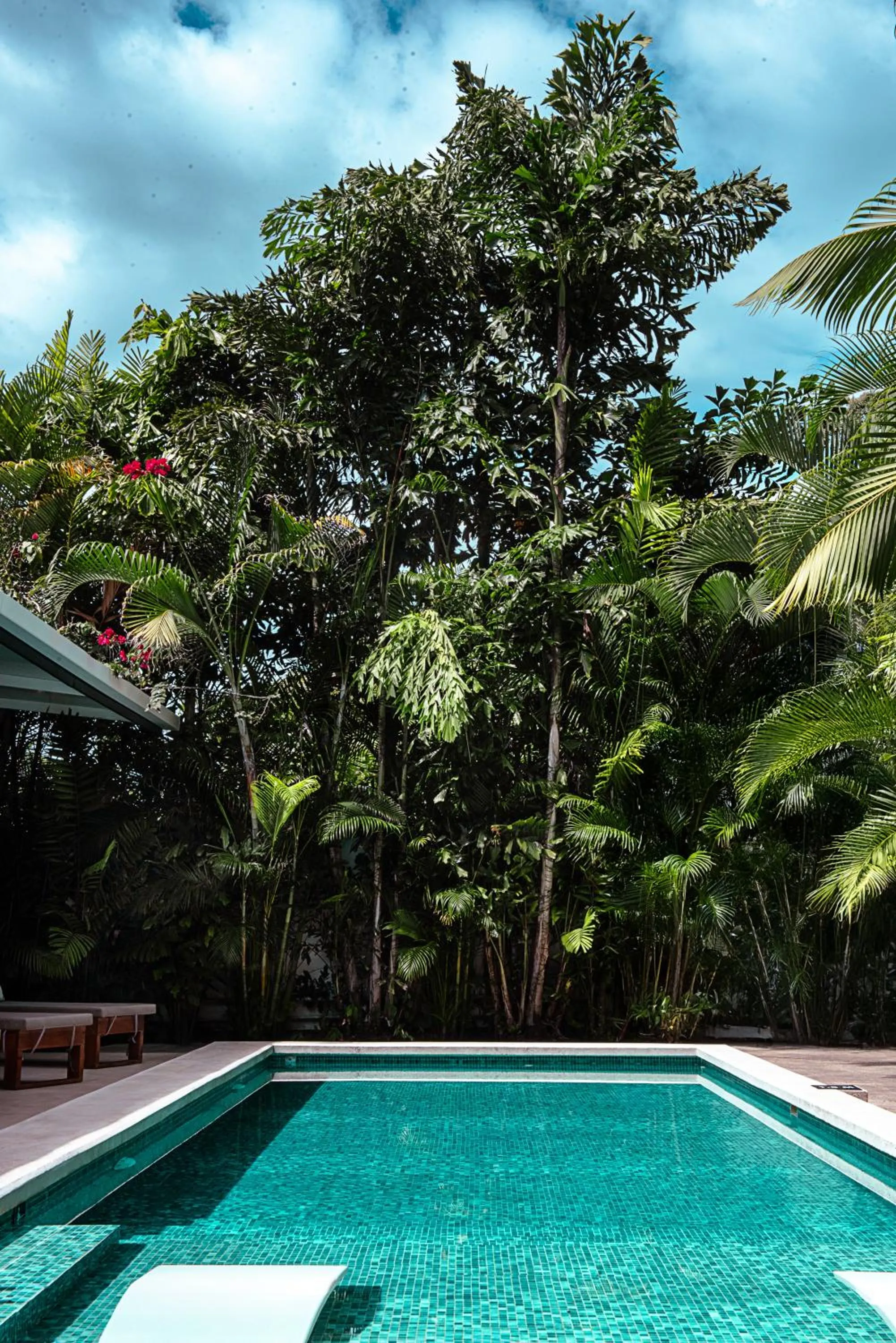 Swimming pool in La Prometida