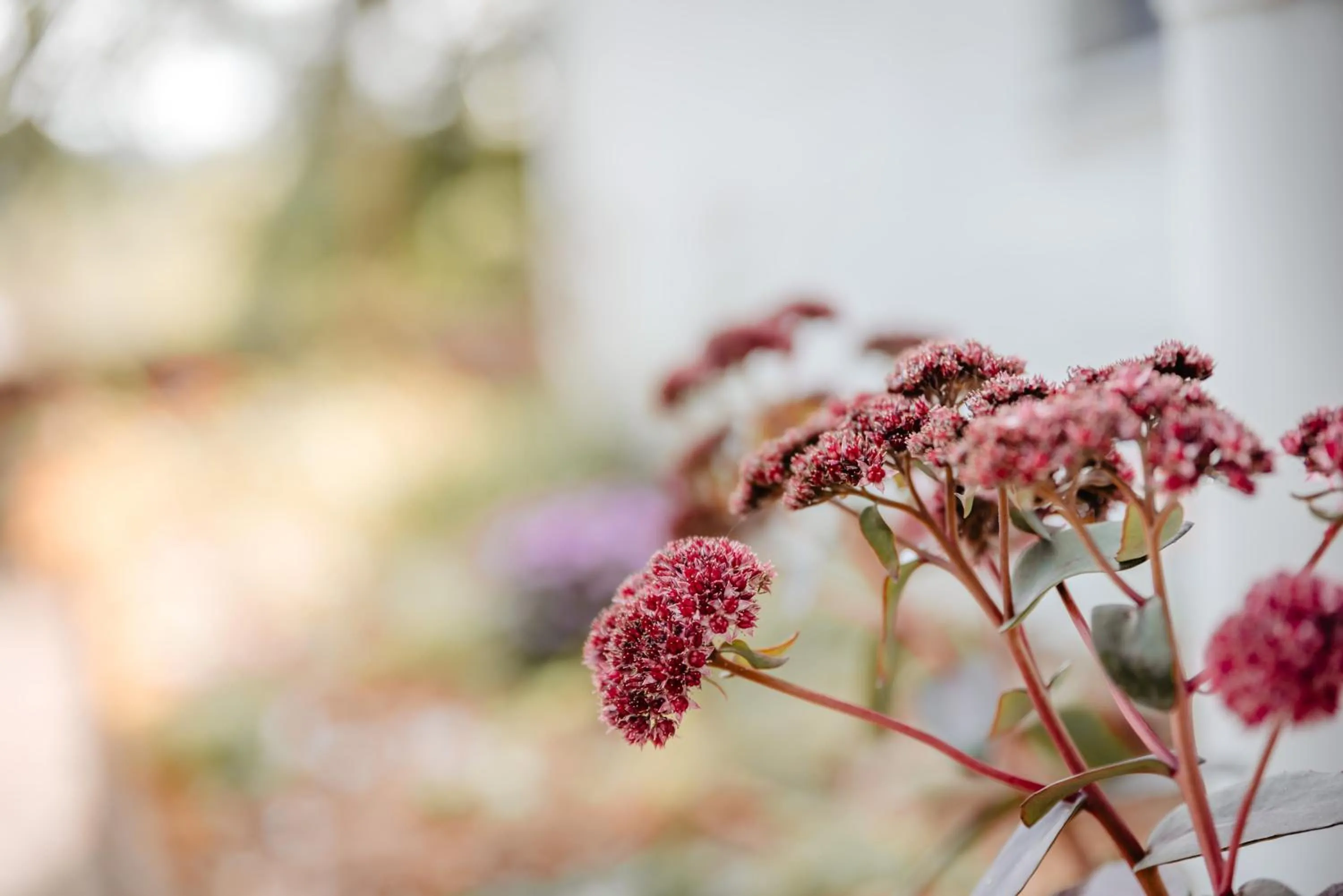 Garden in Granetal.Quartier