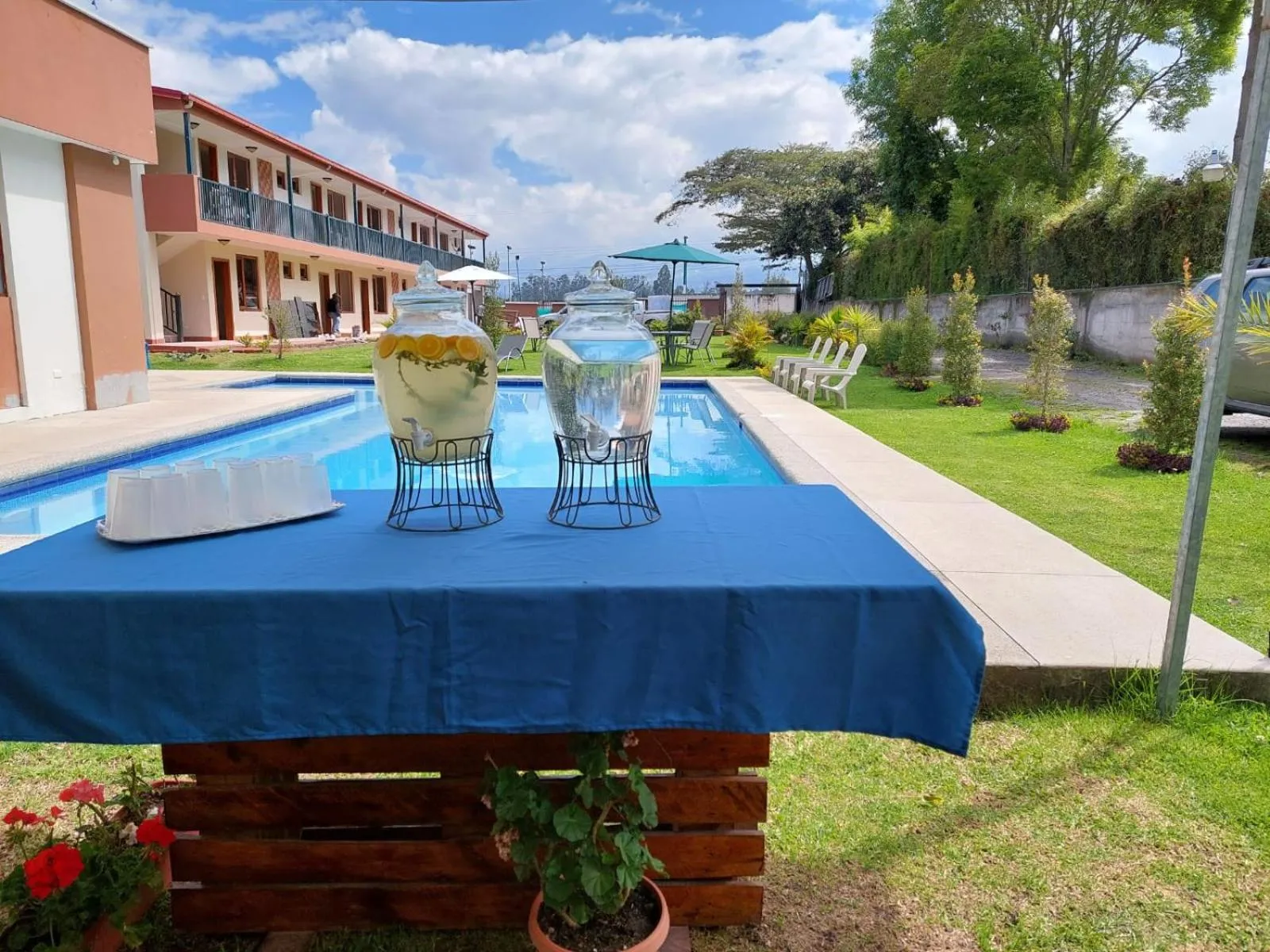 Garden in Quinta San Felipe