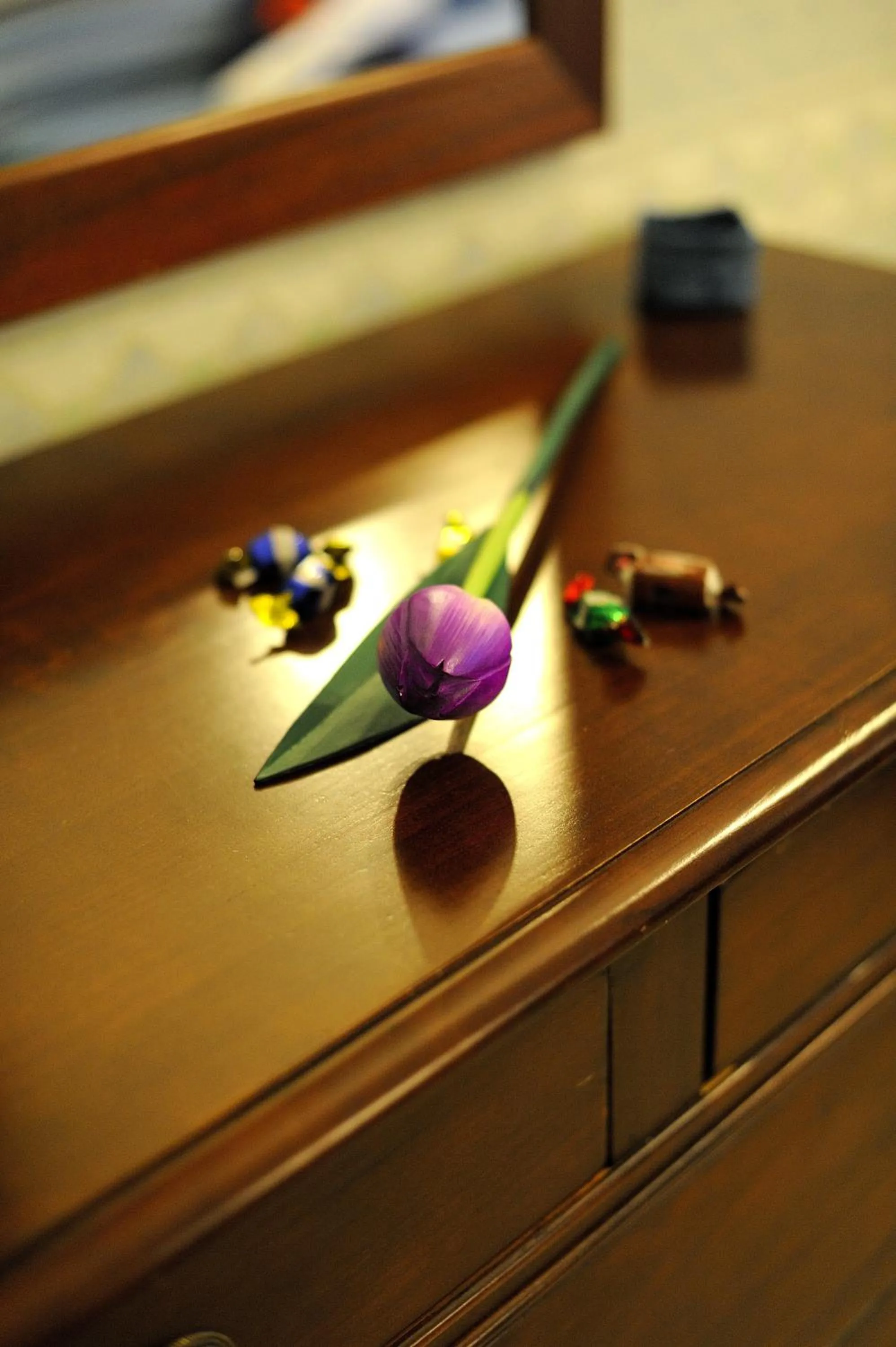 Decorative detail in La Casa Romana