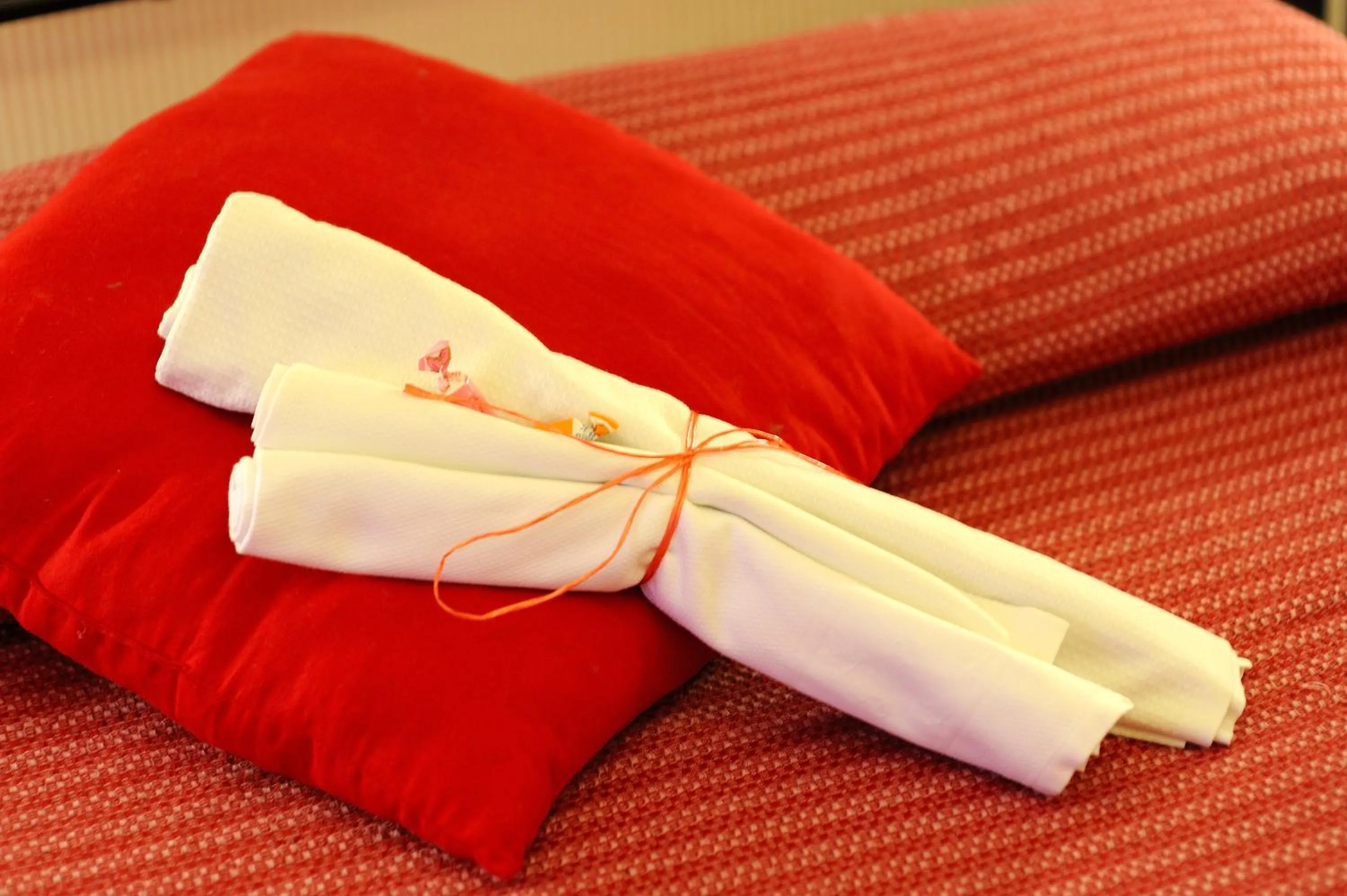 Decorative detail in La Casa Romana