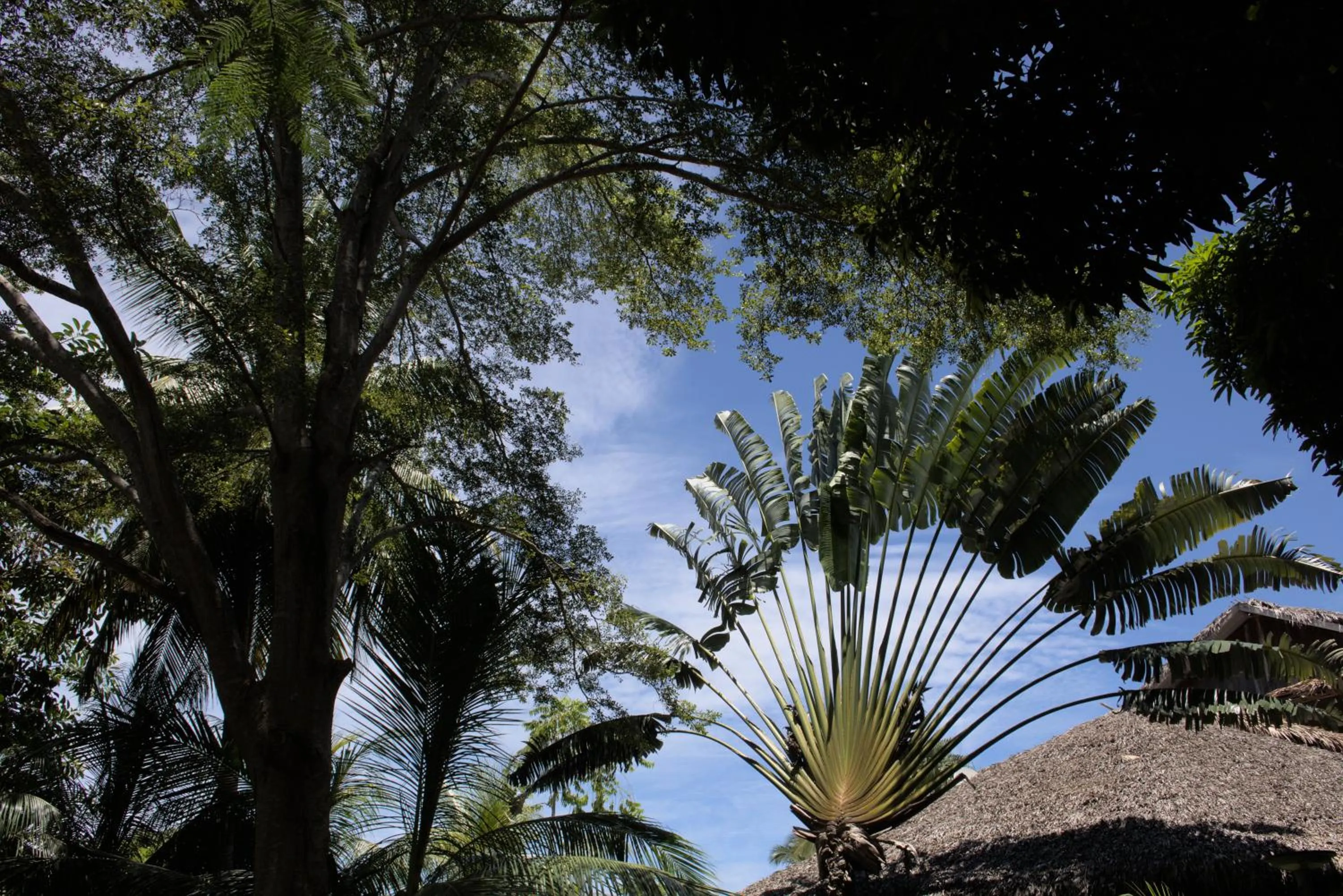 Garden in Nosy Be Hotel & Spa