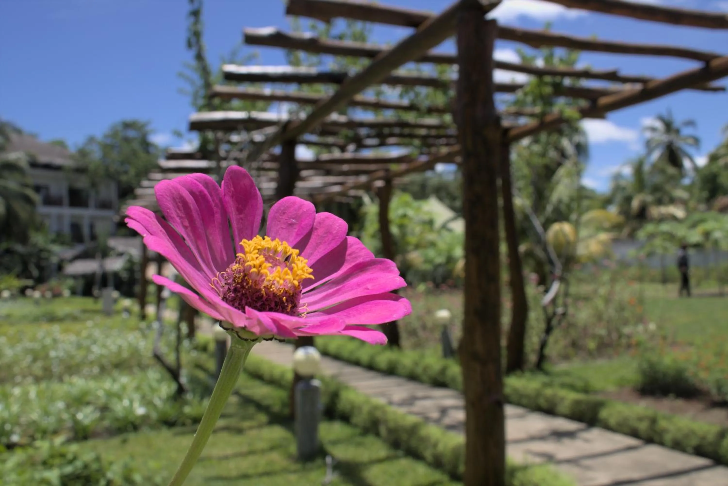 Garden in Nosy Be Hotel & Spa