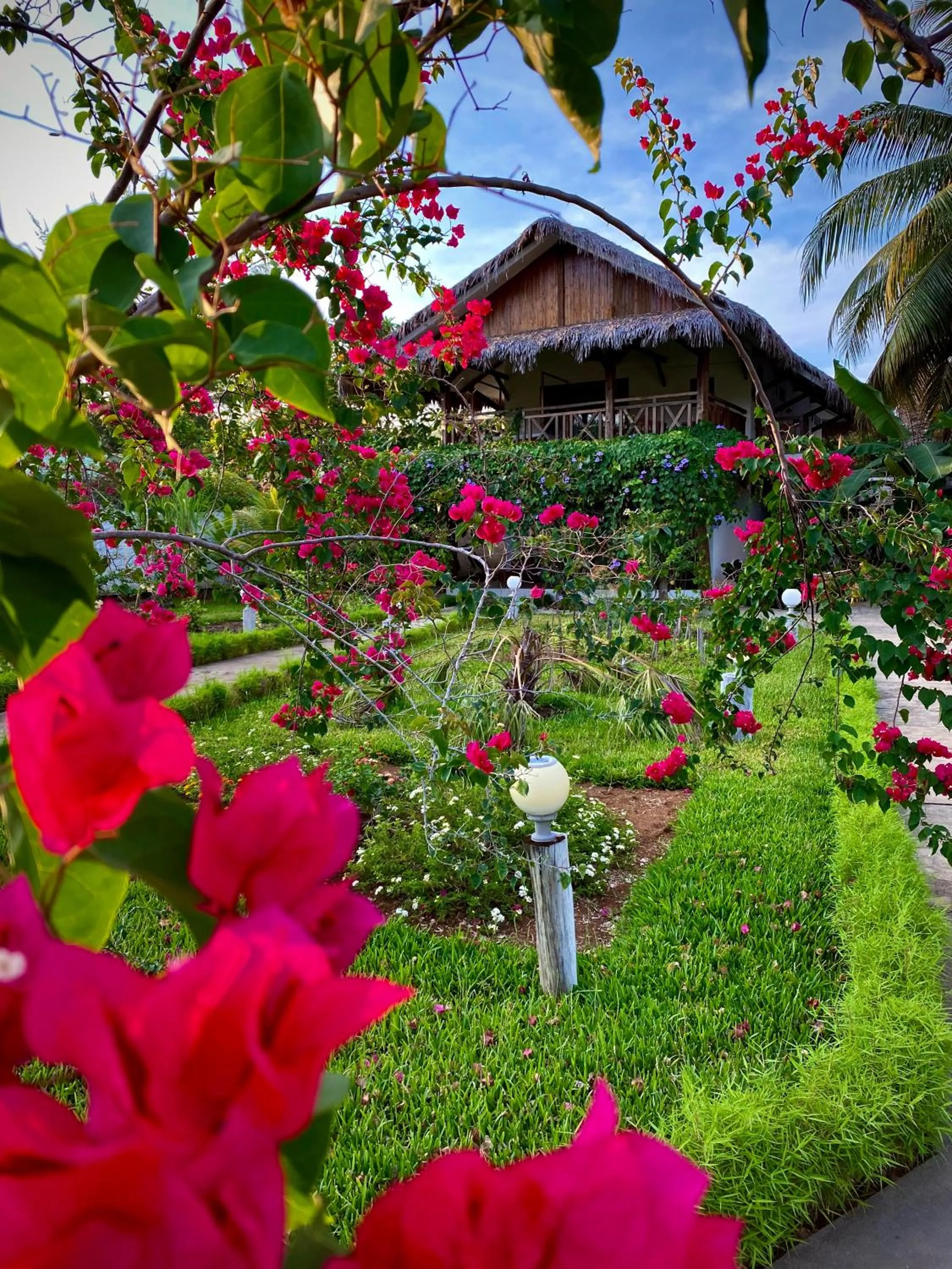 Garden in Nosy Be Hotel & Spa