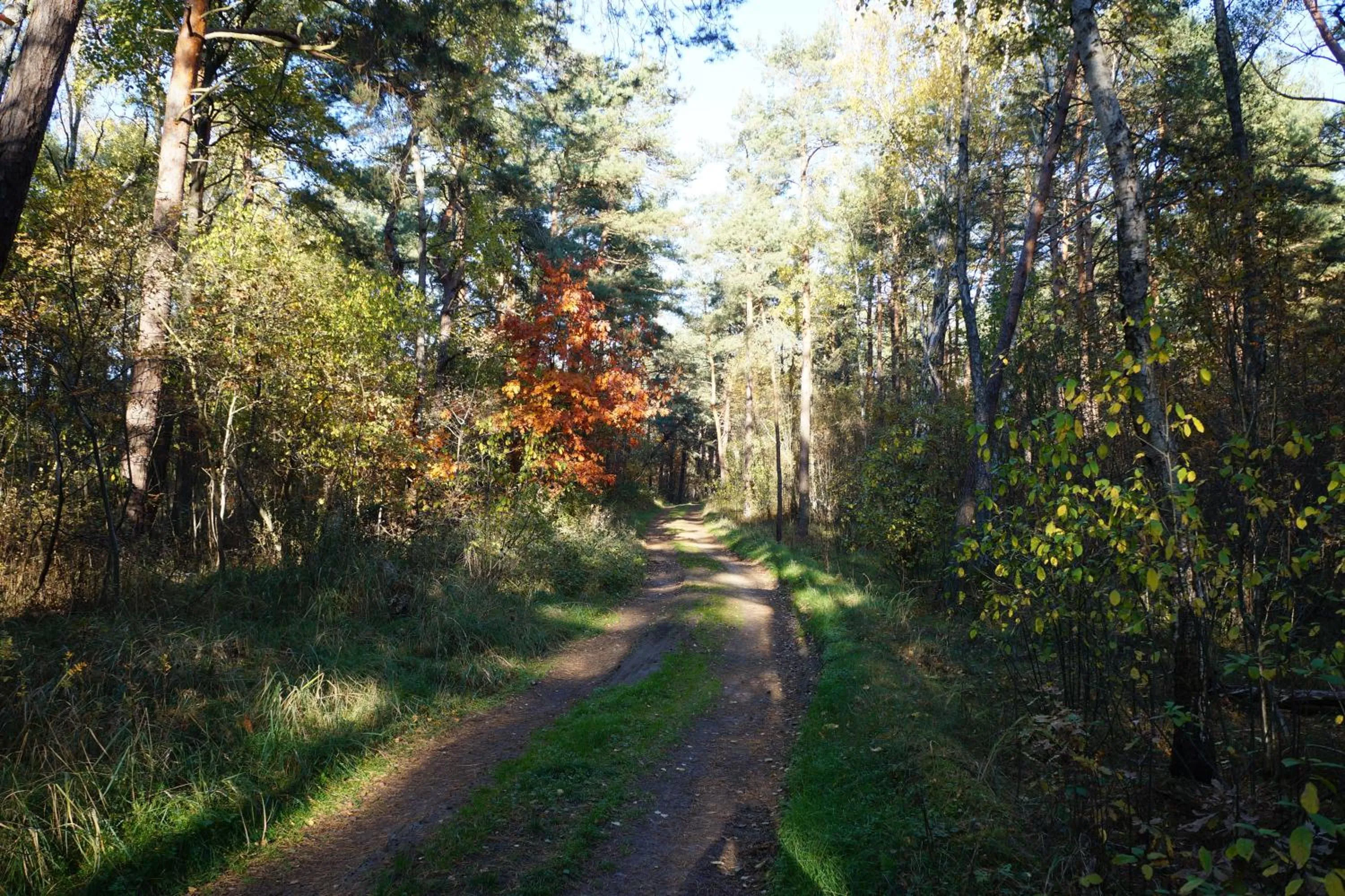 Hiking in Four Winds