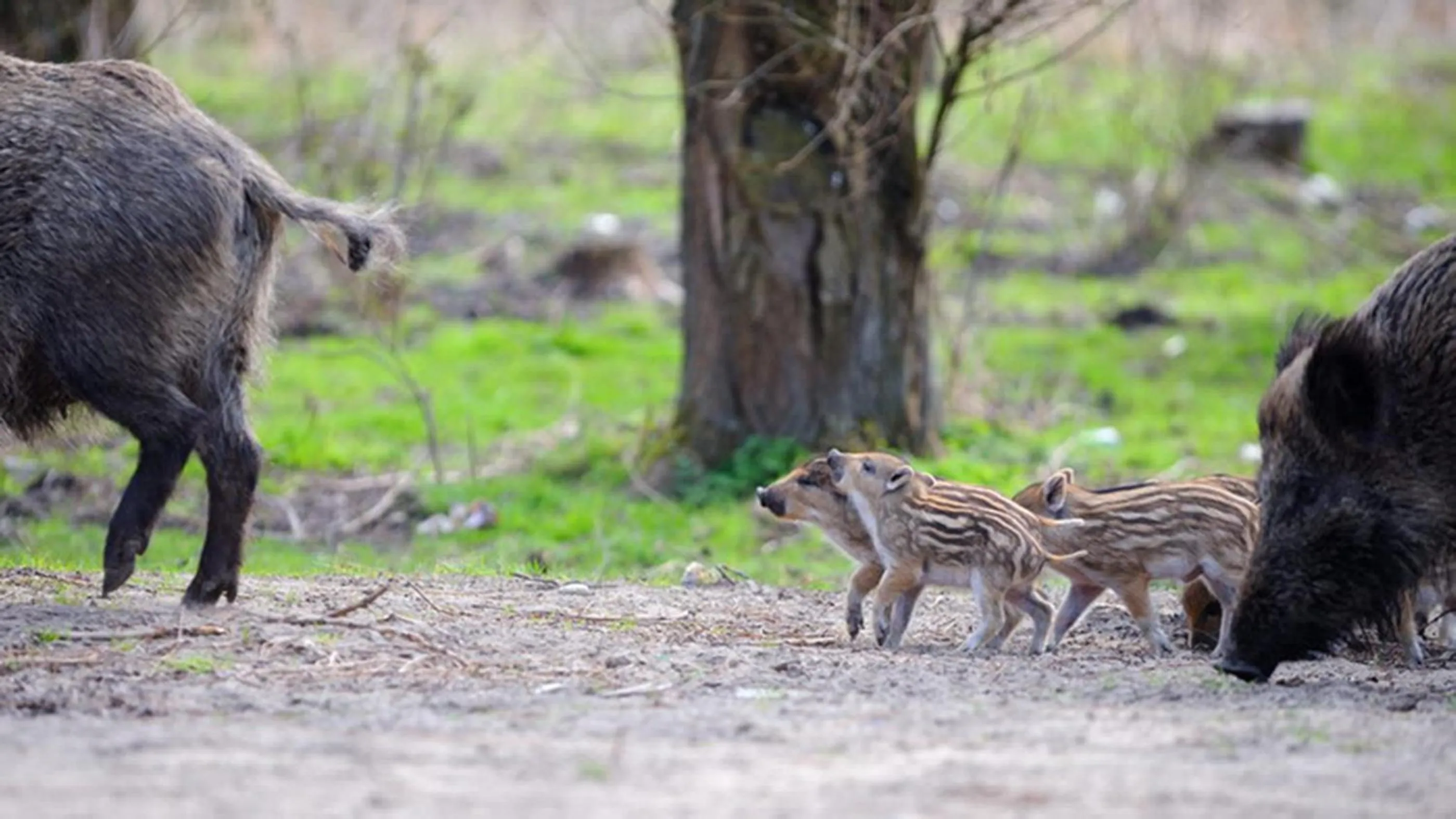 Area and facilities in Four Winds