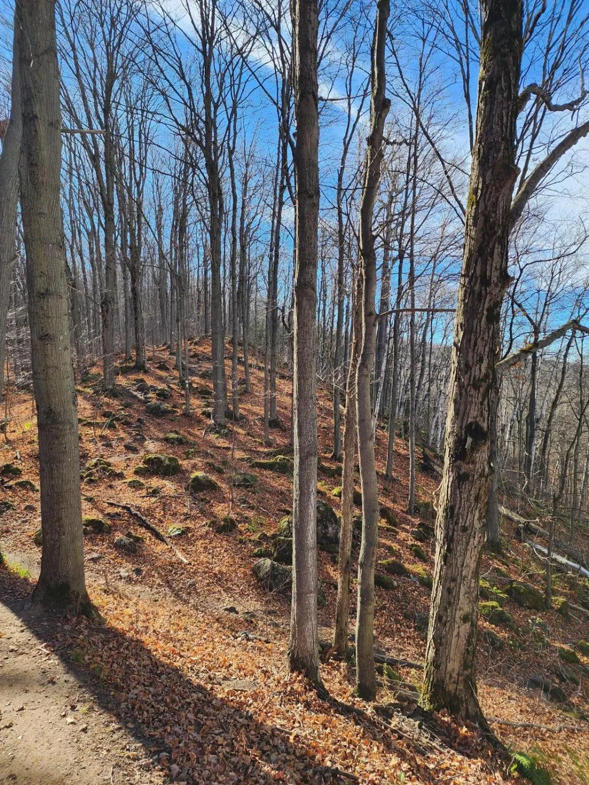 Hiking in Penny's Motel