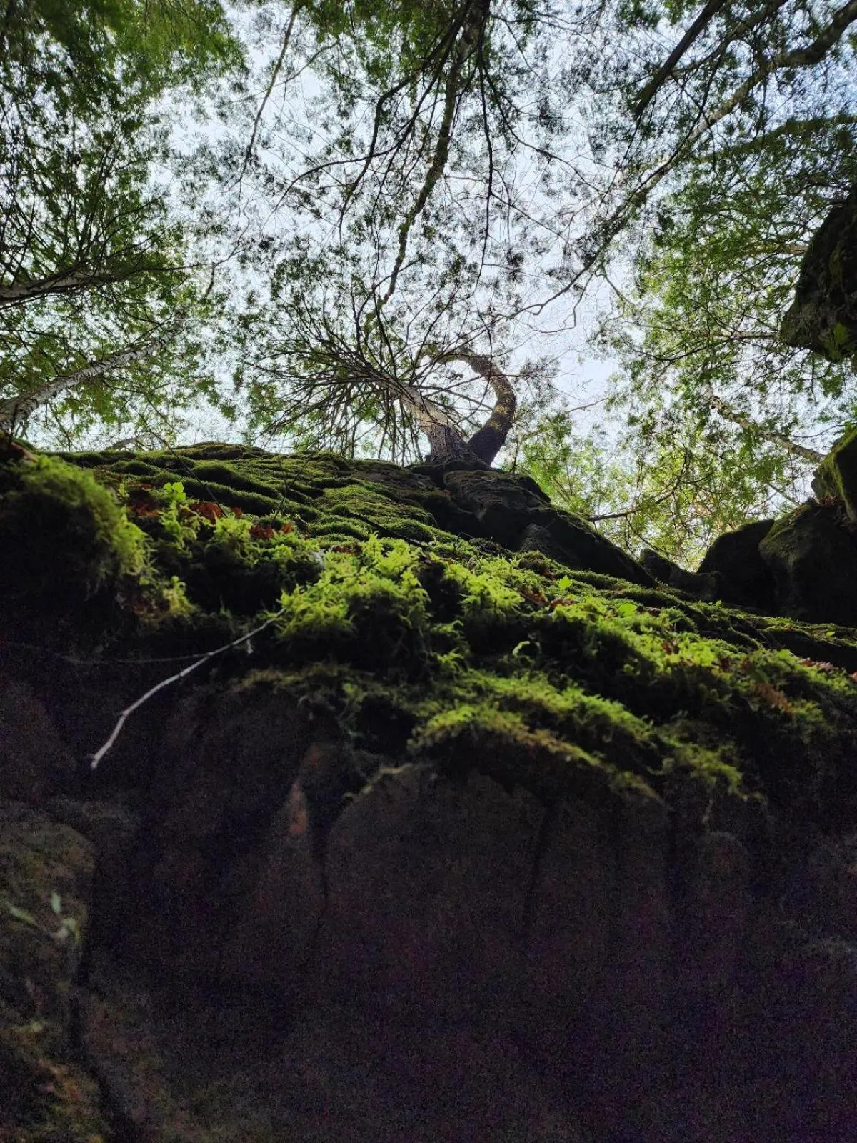 Hiking in Penny's Motel