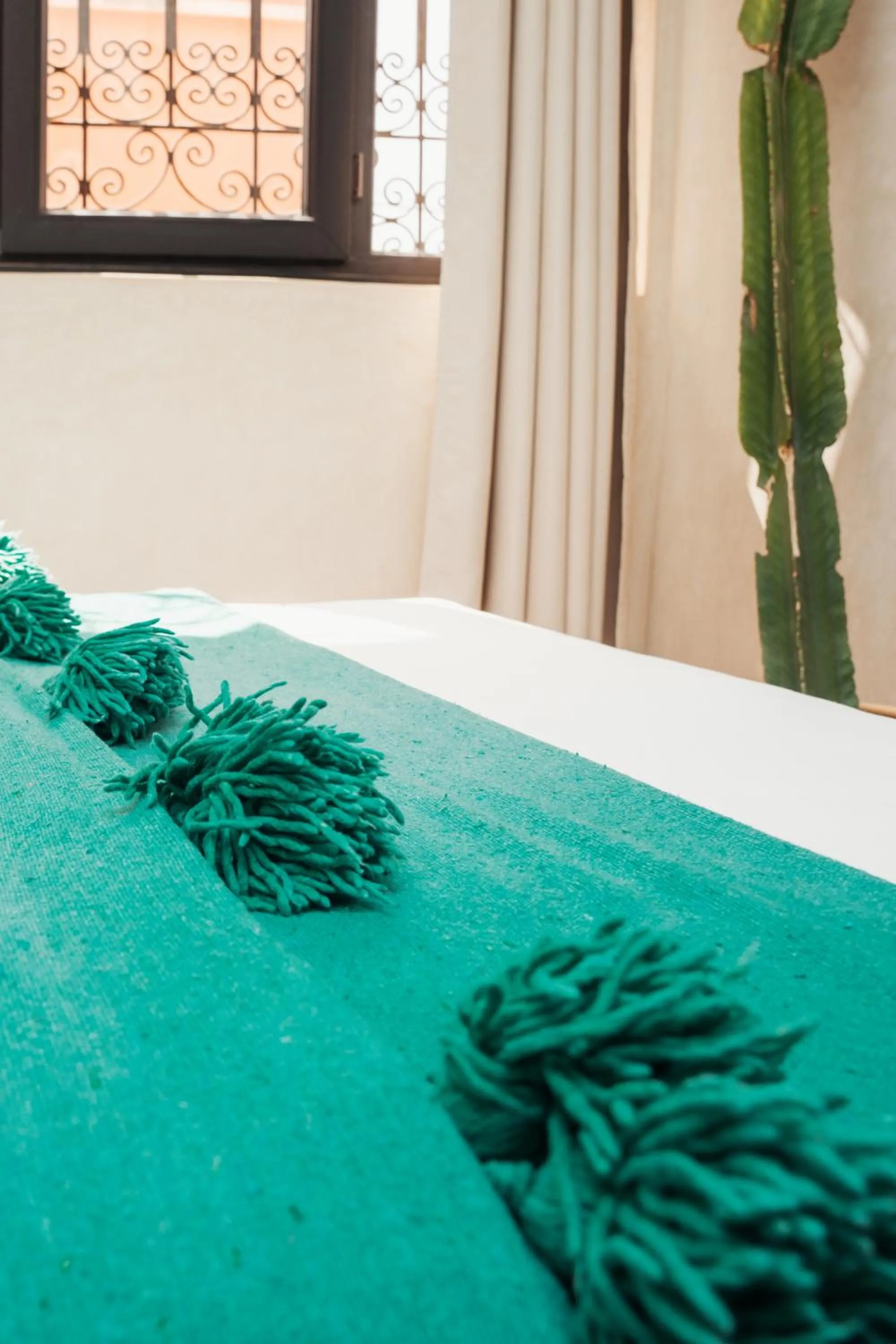 Bed in Auberge RIAD DLIM Tamraght