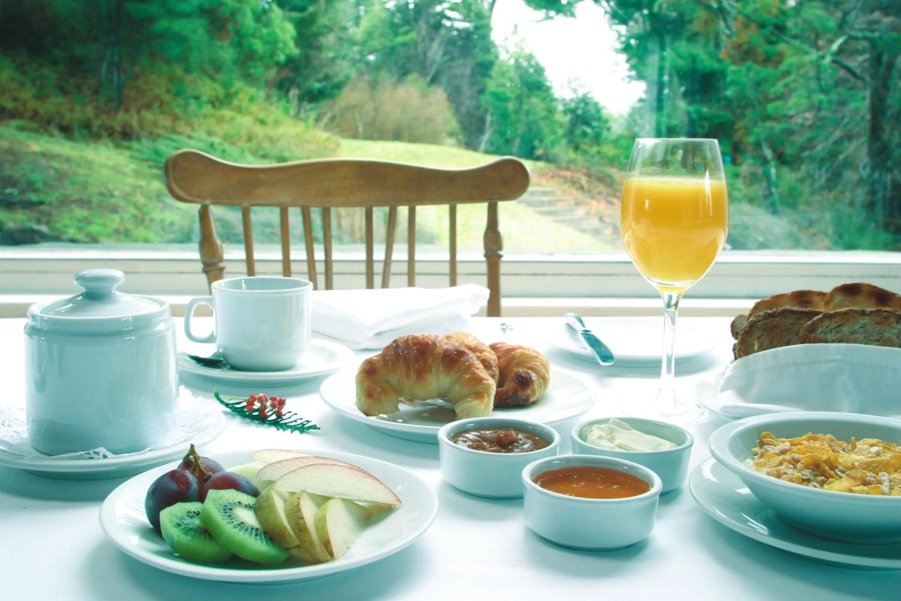 View (from property/room) in Hotel Tunquelén