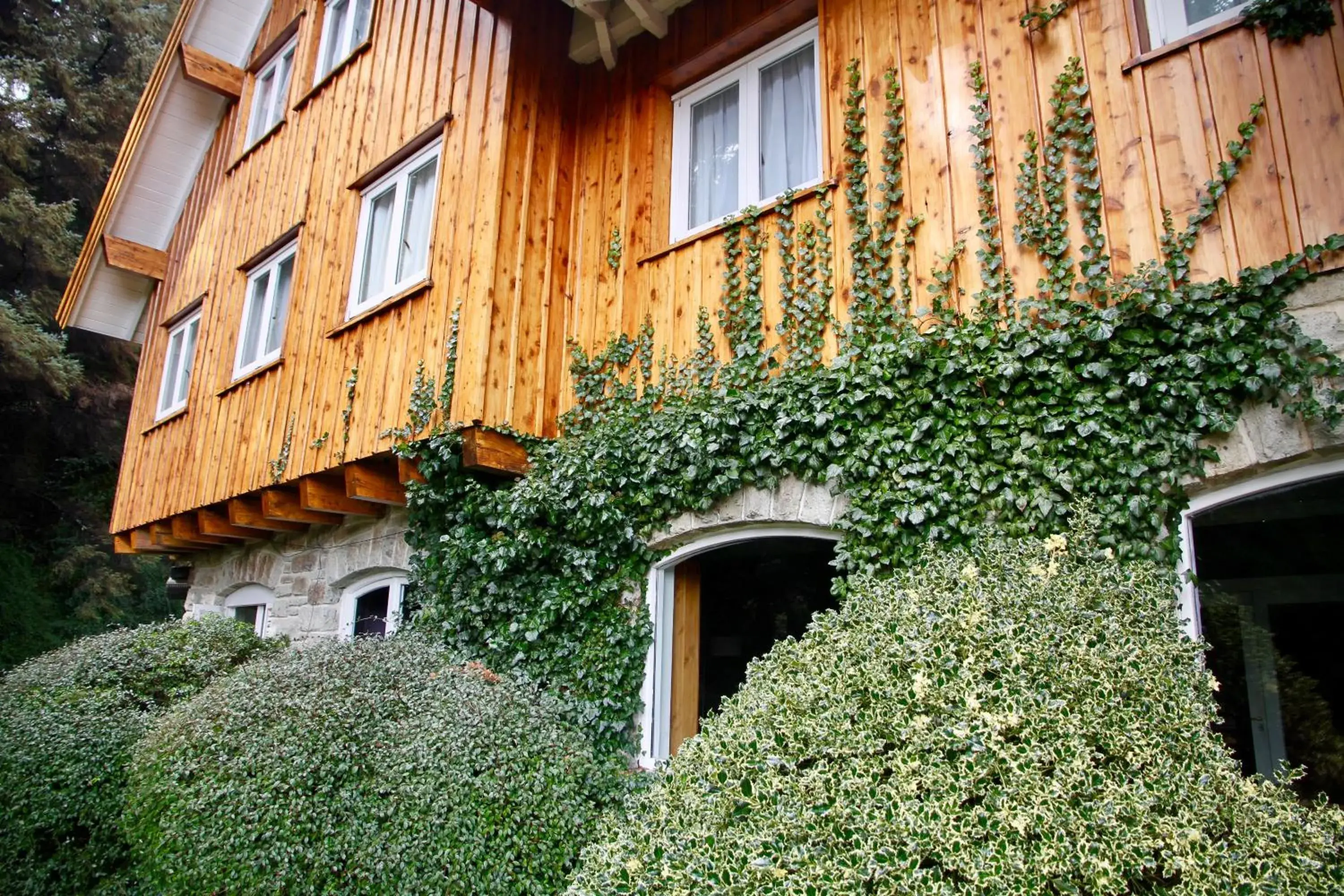 Property building in Hotel Tunquelén Property building in Hotel Tunquelén