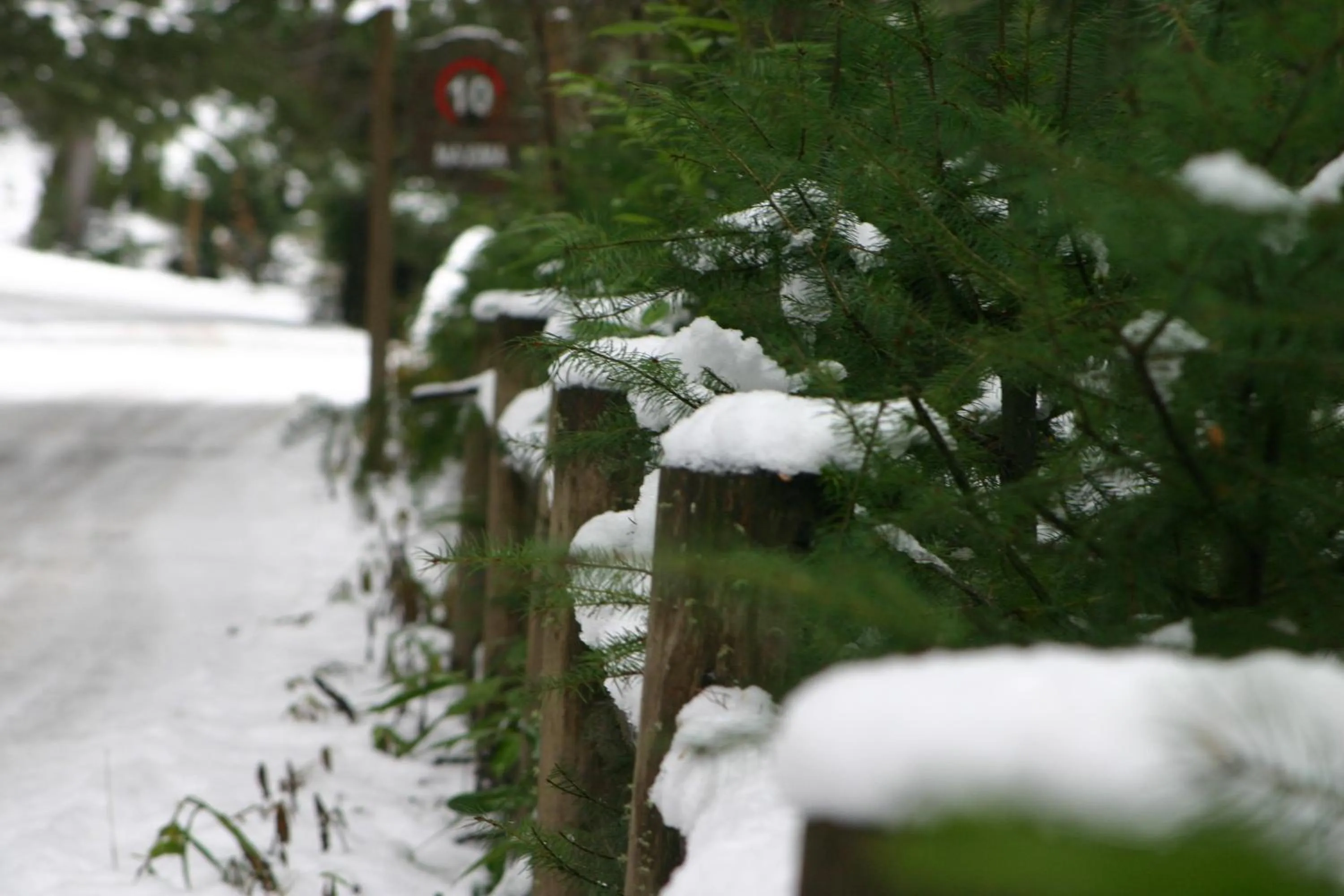Facade/entrance in Hotel Tunquelén